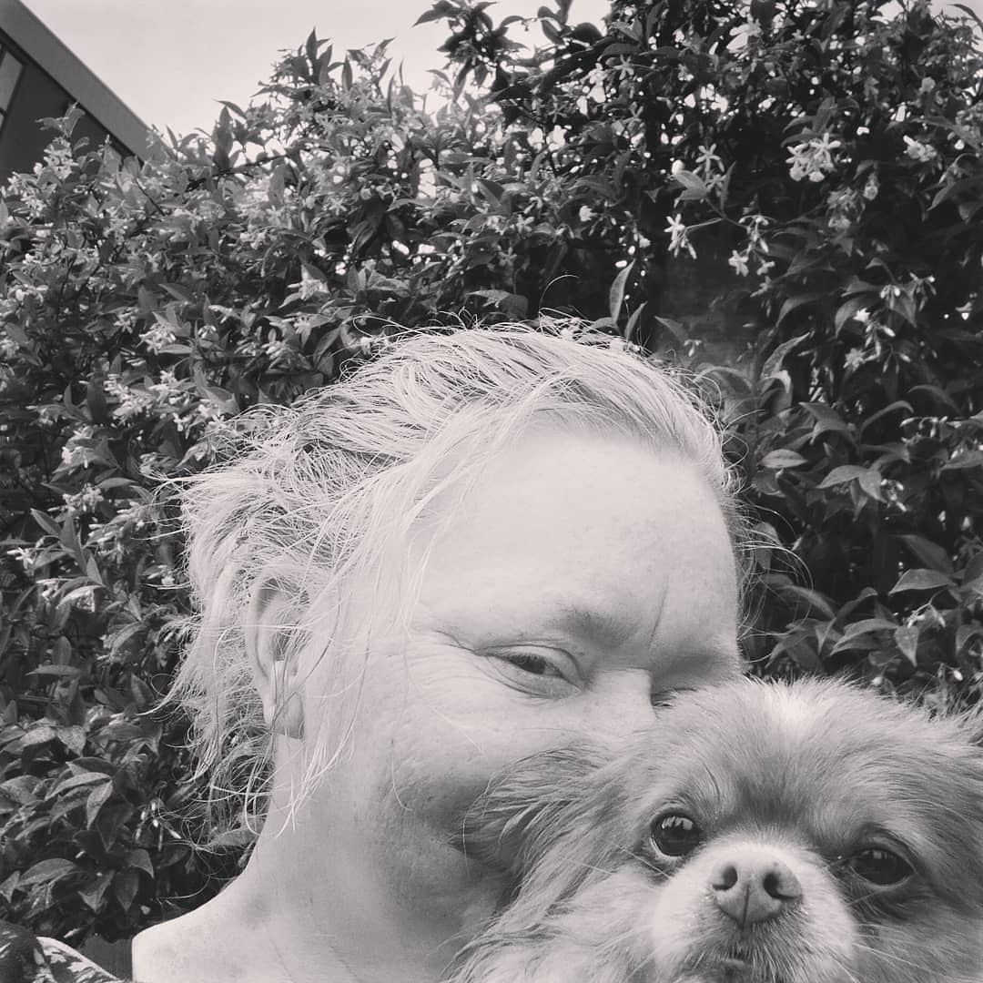 My best bud Boba Fett Pomchi