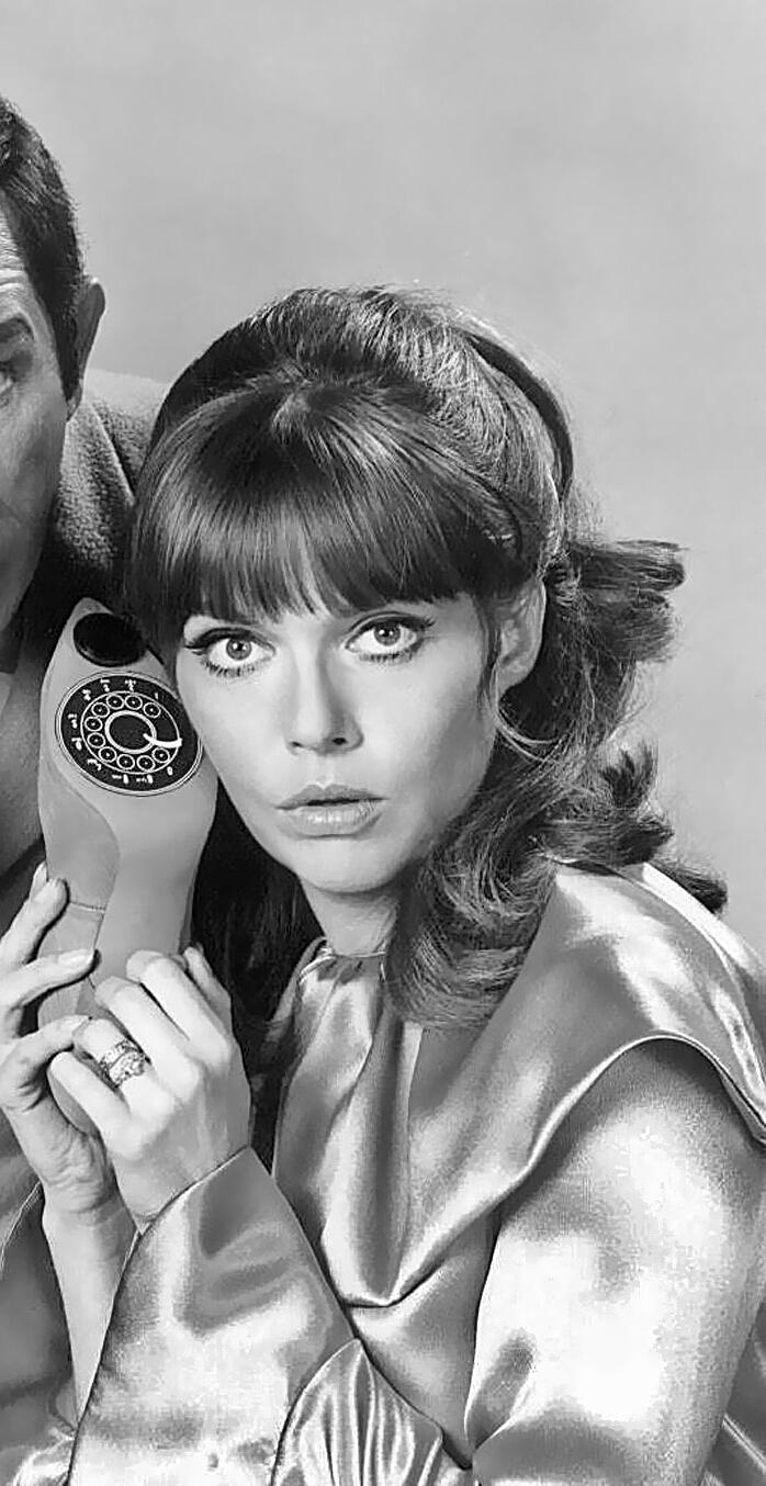 Barbara Feldon Get Smart