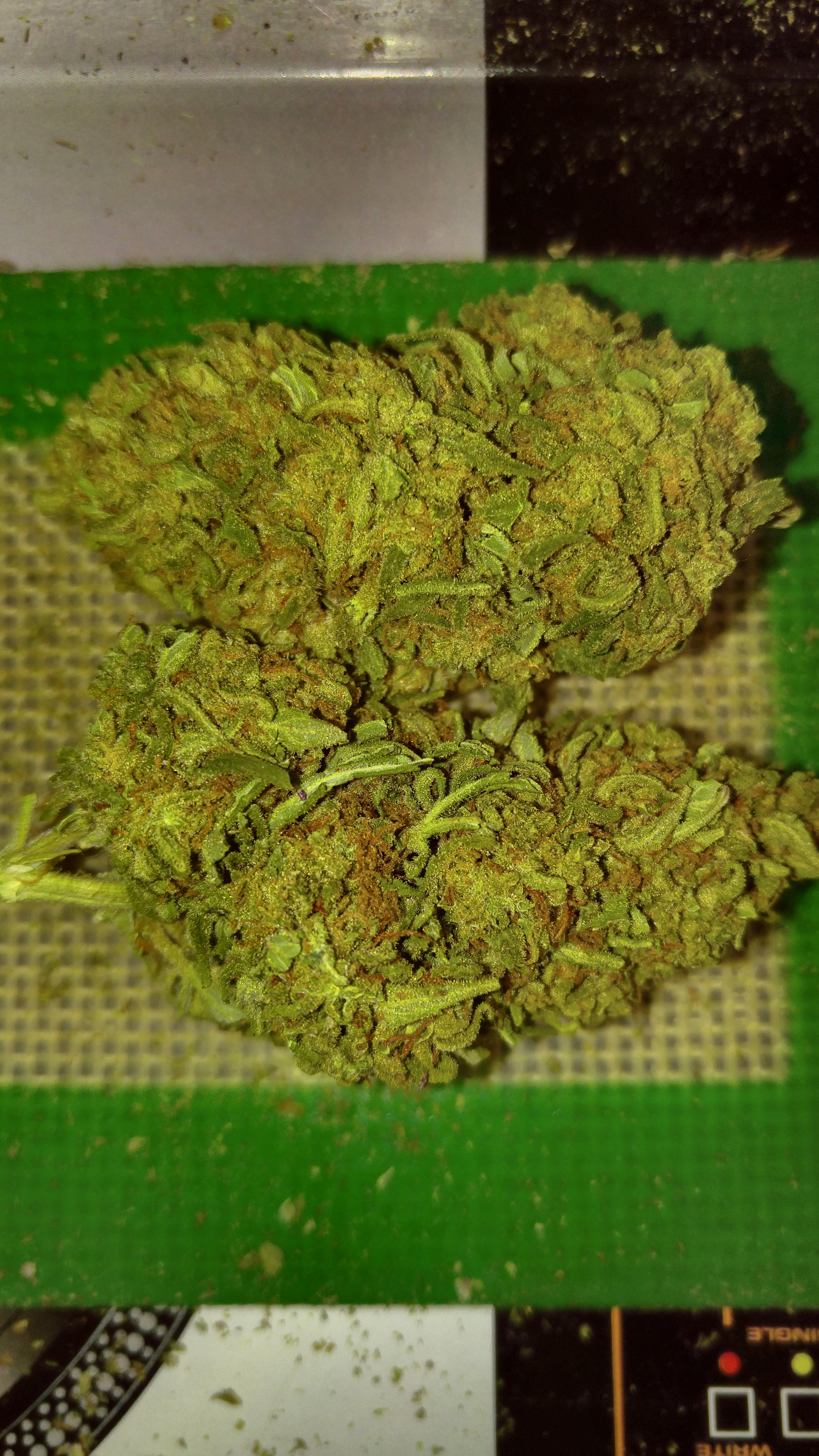 J27 Cheapweed.ca June 2018 MOMpics