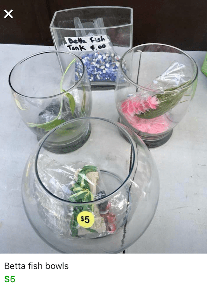 So apparently vases = betta tanks r/shittyaquariums