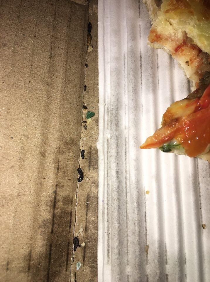 Mouse poop in my pizza box r/mildlyinfuriating