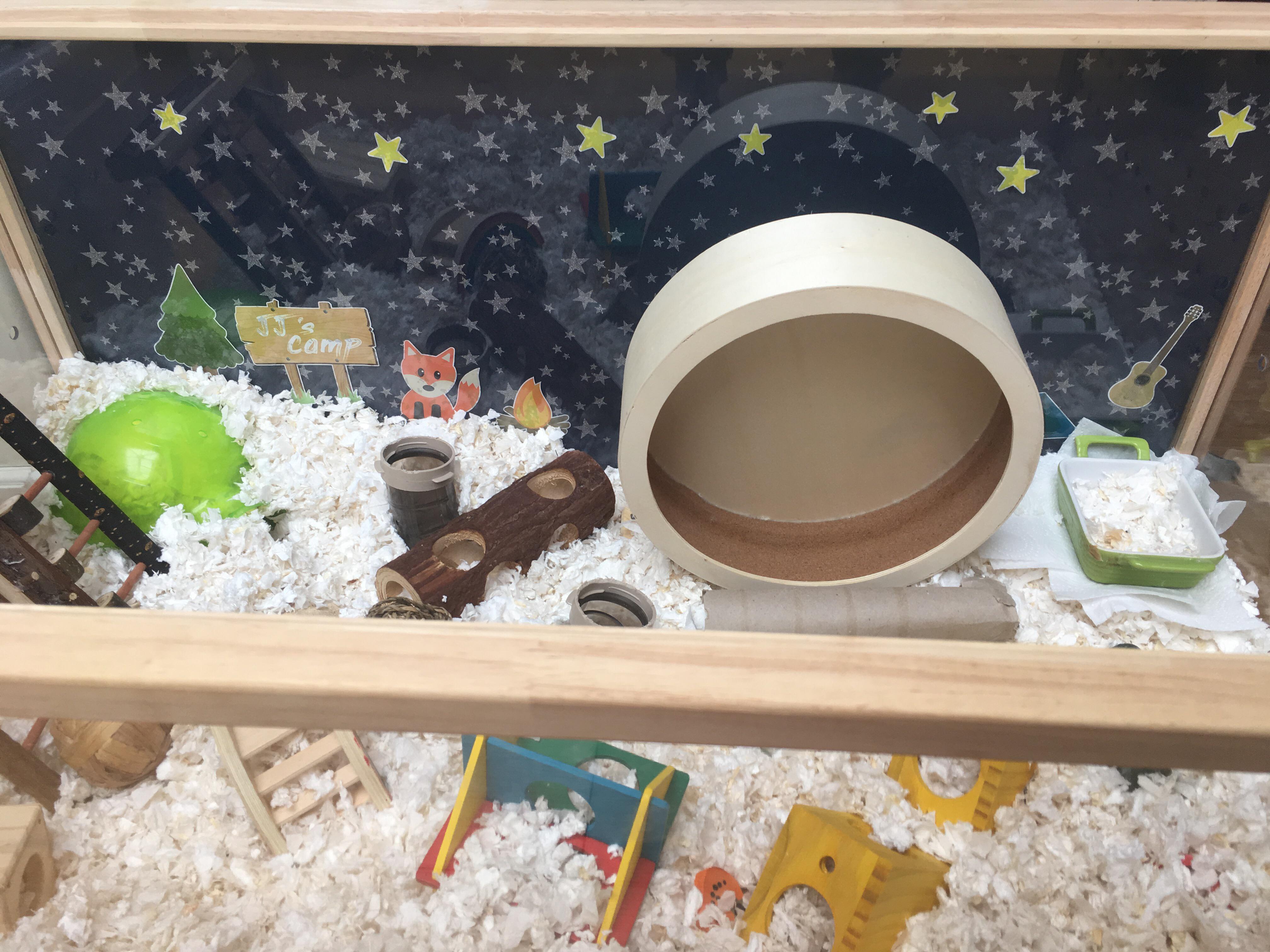 Recently put wrapping paper on the back of JJ’s cage and I love how it