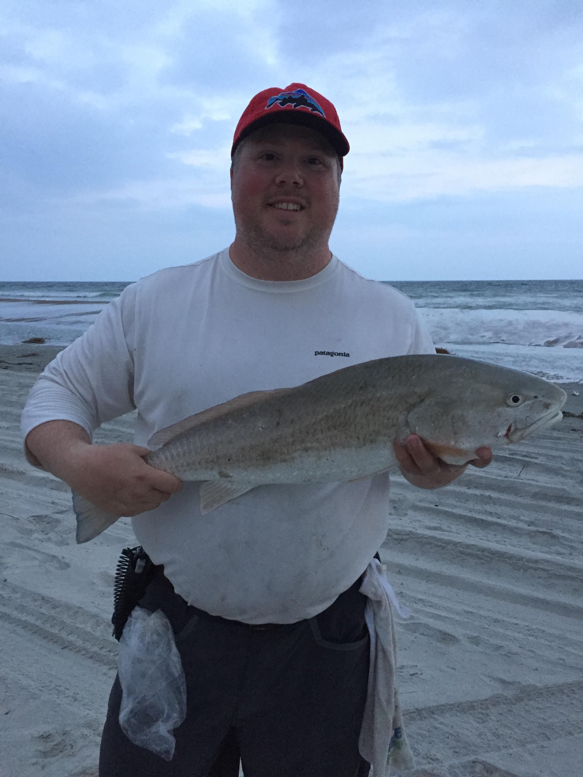 30” red drum (Emerald Isle NC) SurfFishing