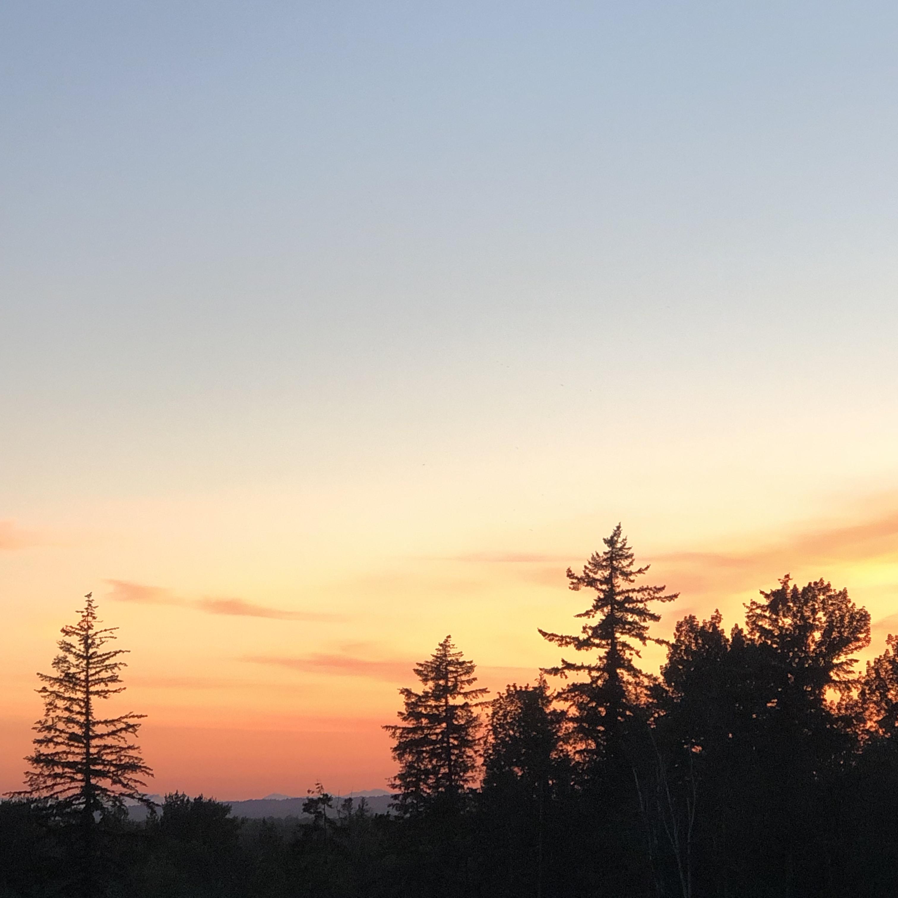 Another shot from King Mountain r/Bellingham