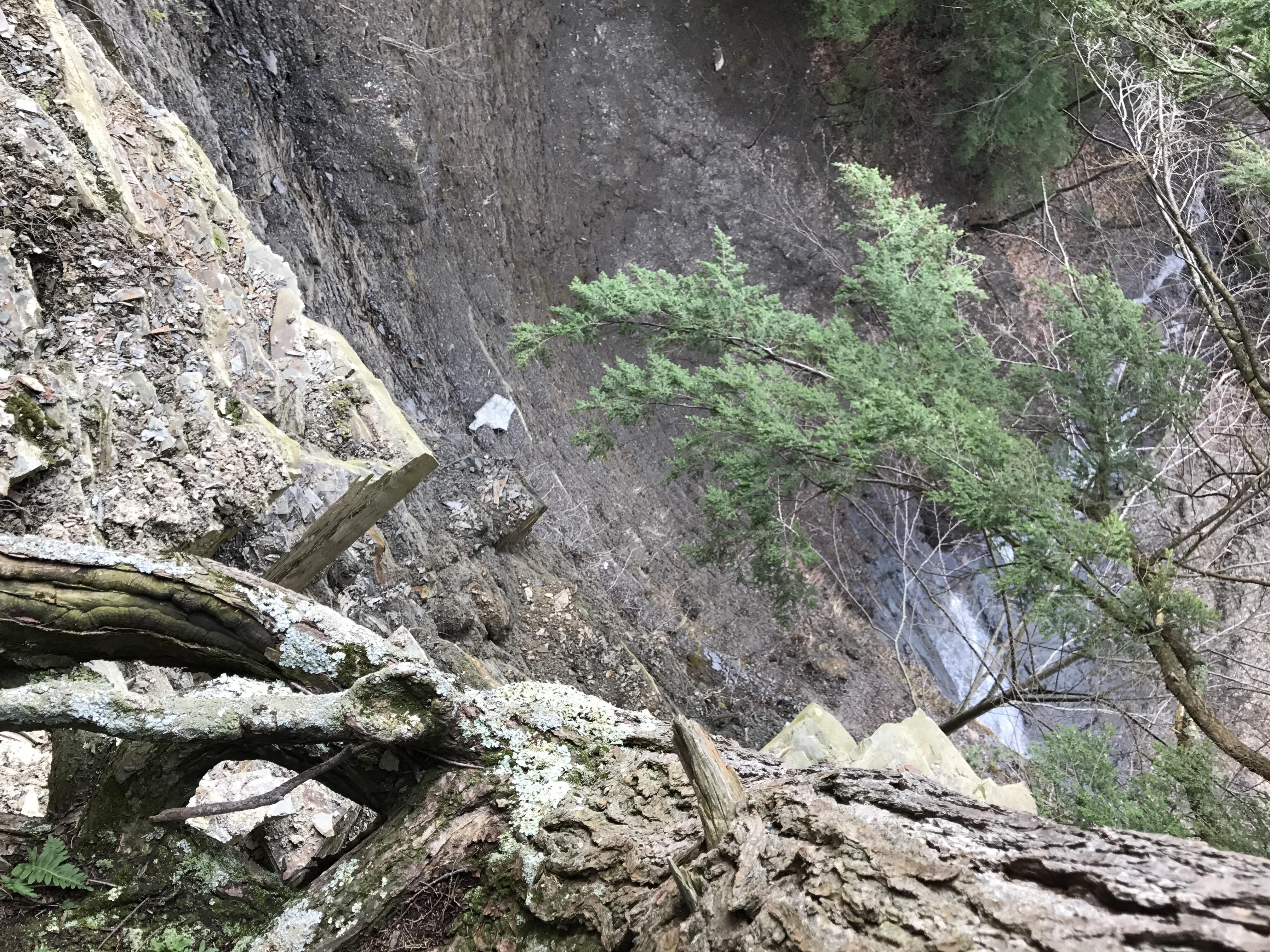 Conklin Gully in Naples, NY. Approximately 1,000 feet above sea level