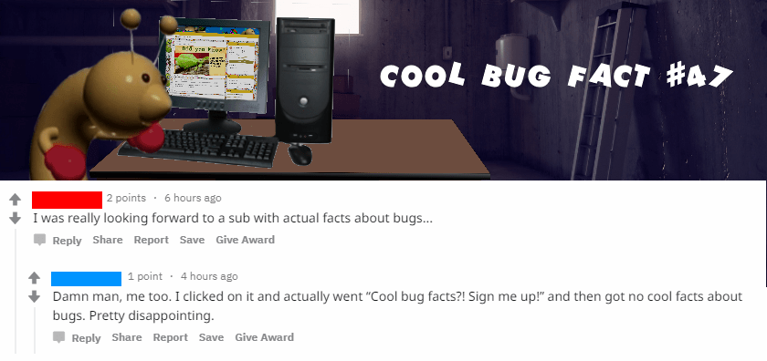 Cool Bug Facts CoolBugFacts