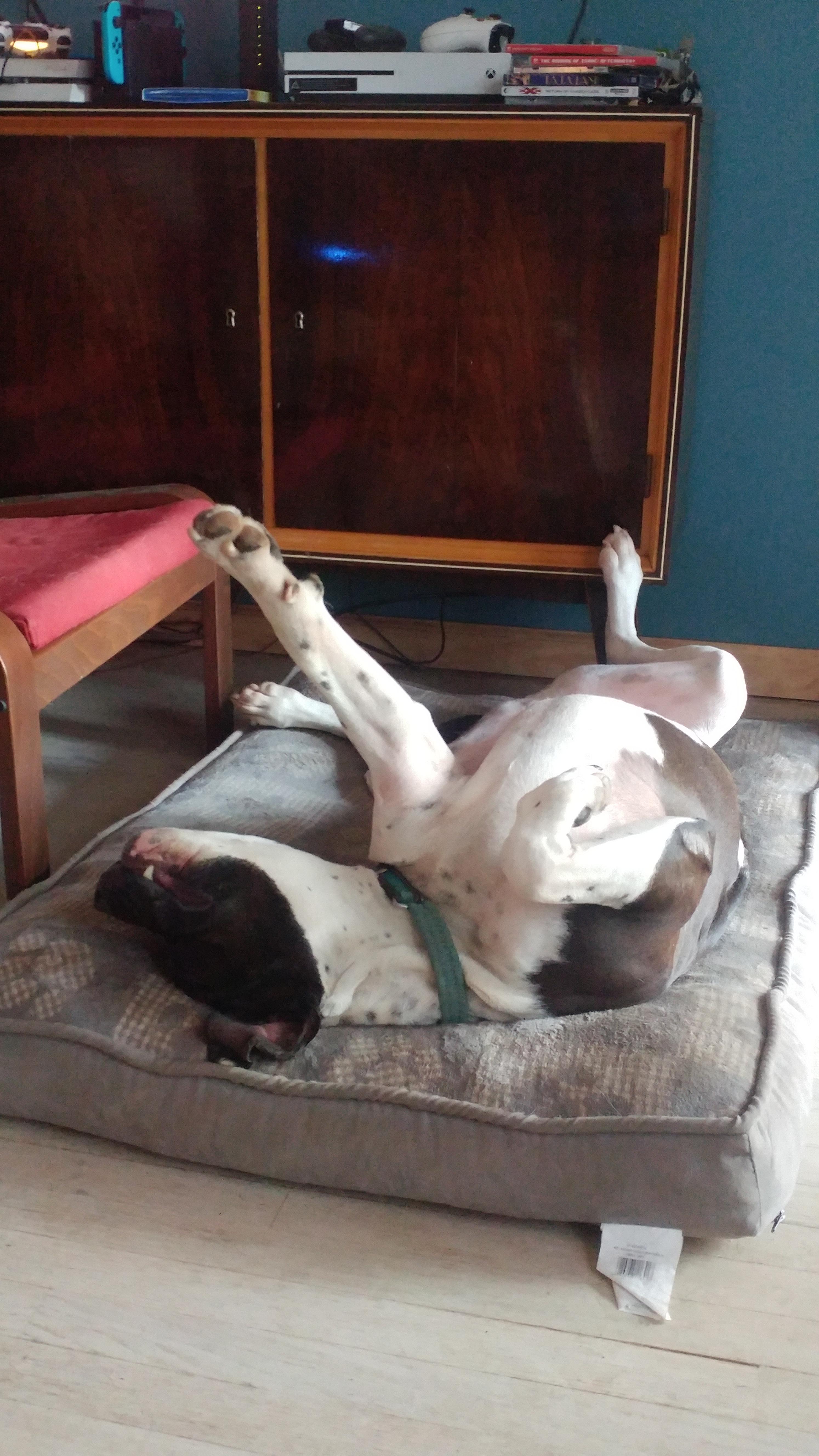 He fell asleep like he had rigor mortis