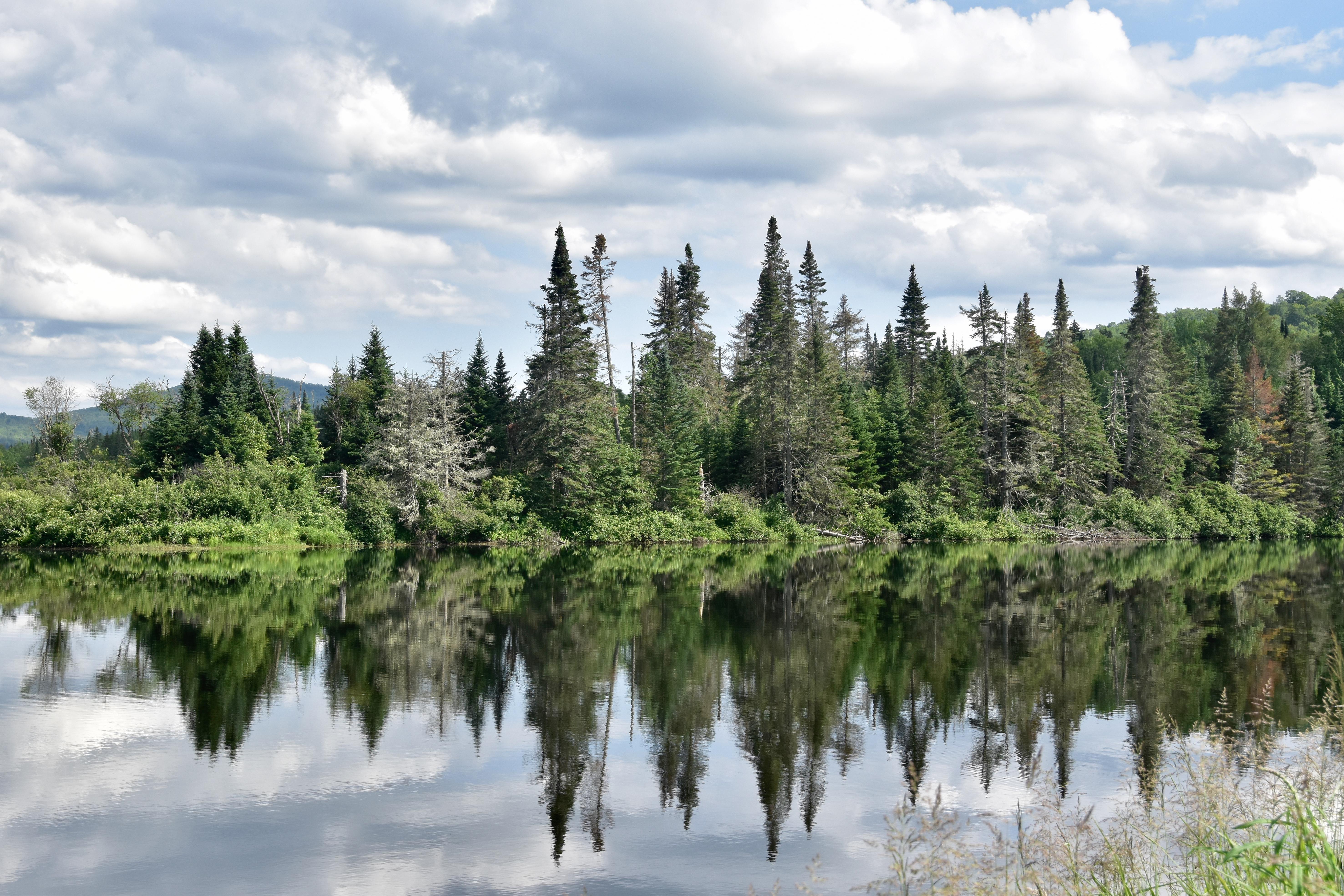13 mile woods r/newhampshire