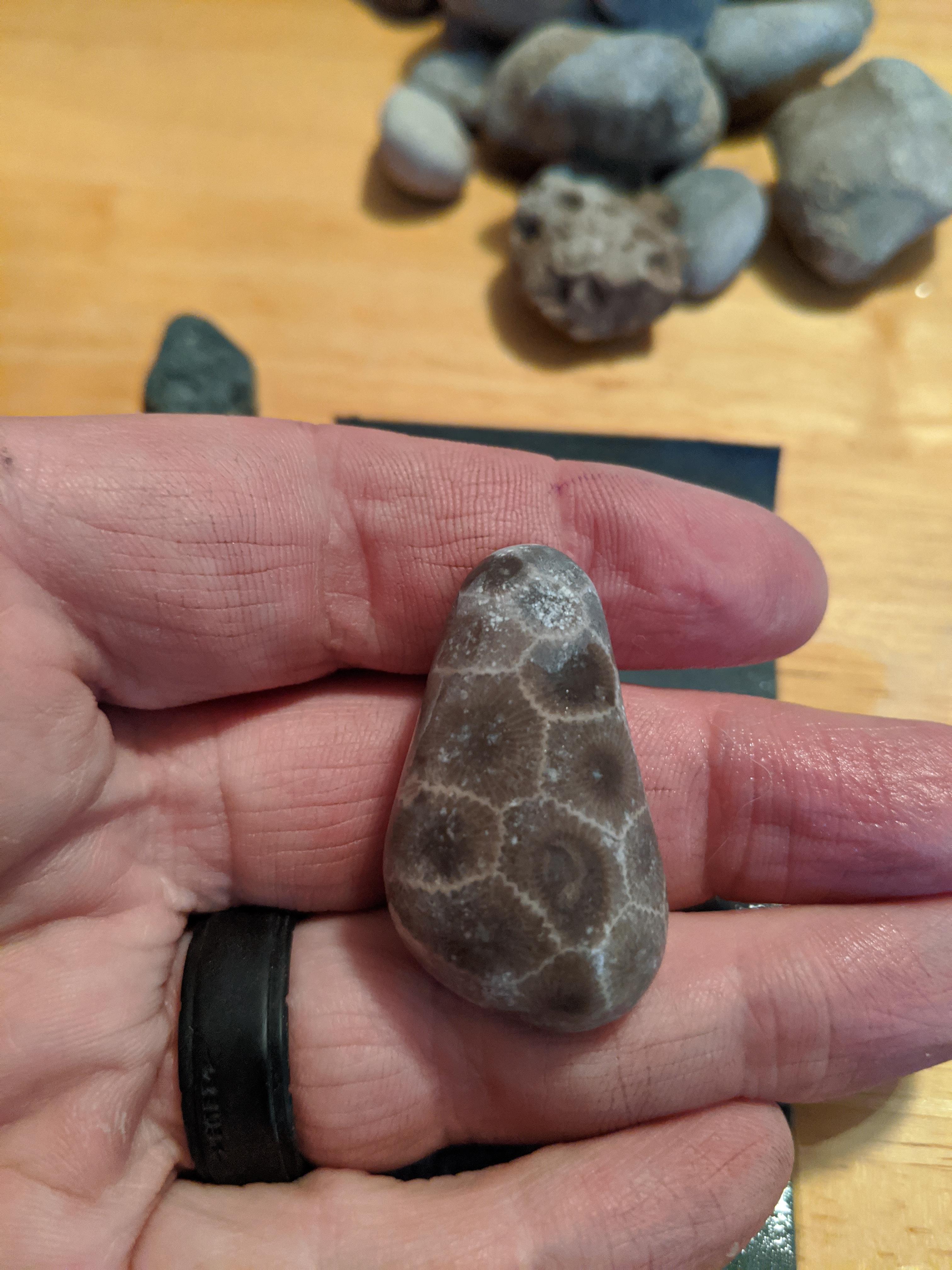 Rock polishing! Bowl of water, wet/dry sandpaper and some rocks. This