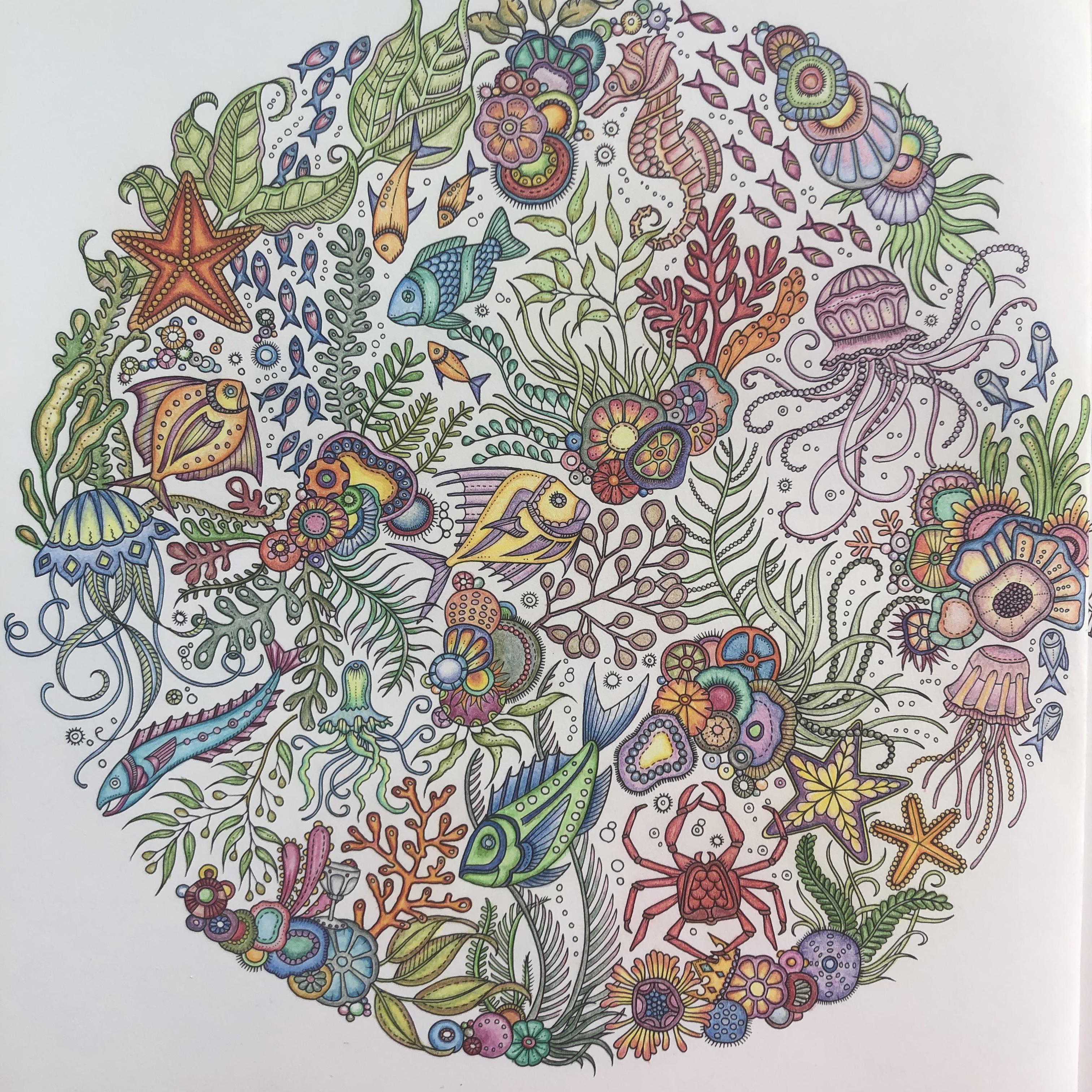 Lost Ocean by Johanna Basford. Completed with Polychromos! r/Coloring