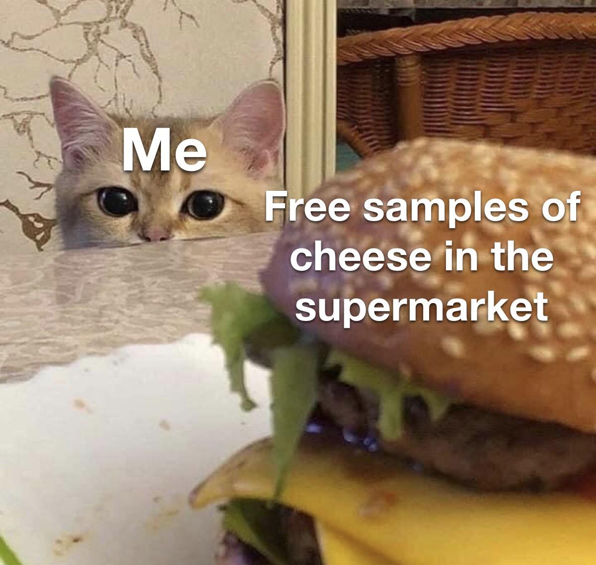 I love free samples of food r/memes