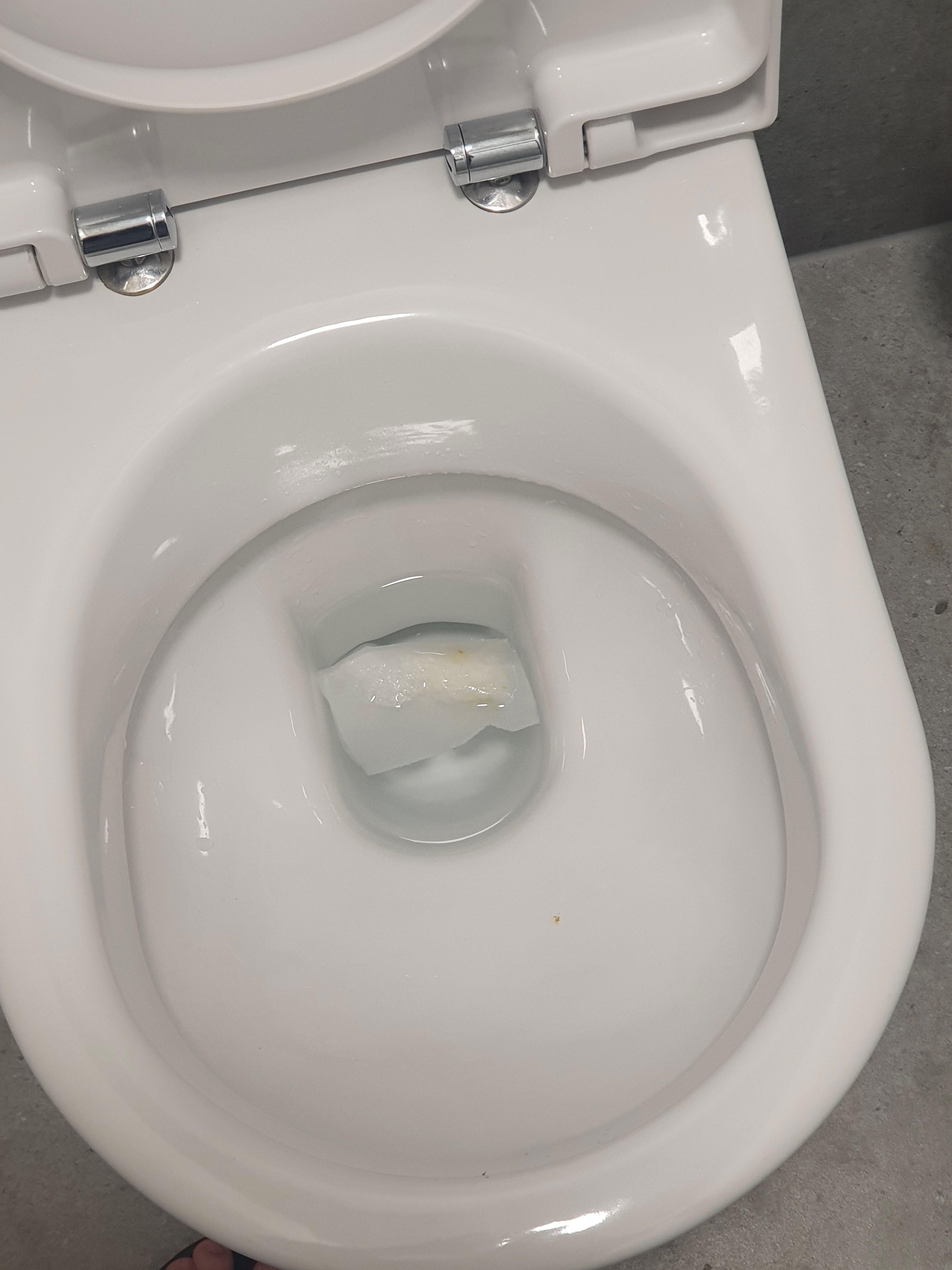That one piece of toilet paper that won't flush properly on the first