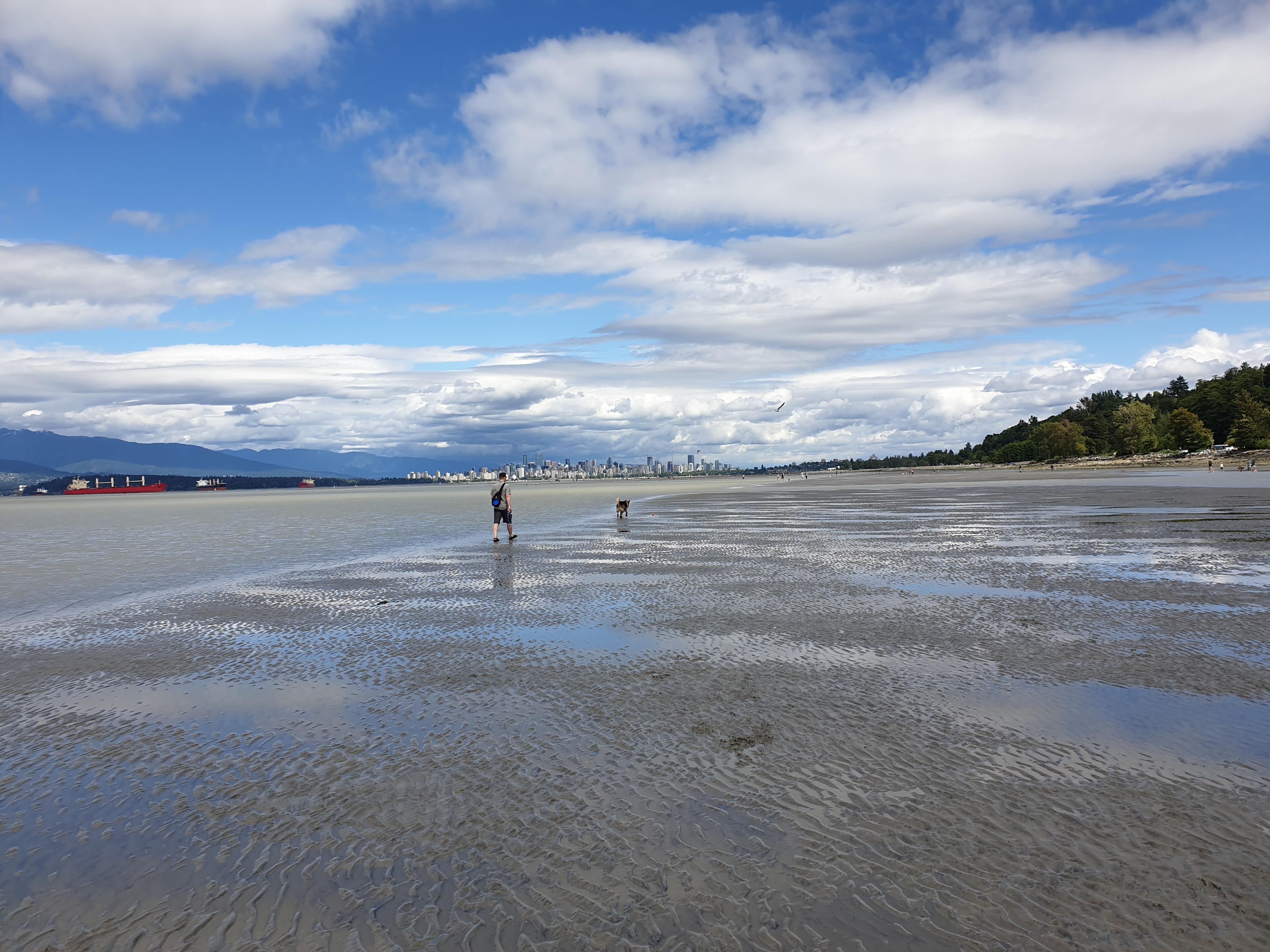 Spanish banks at low tide 😍 r/vancouver
