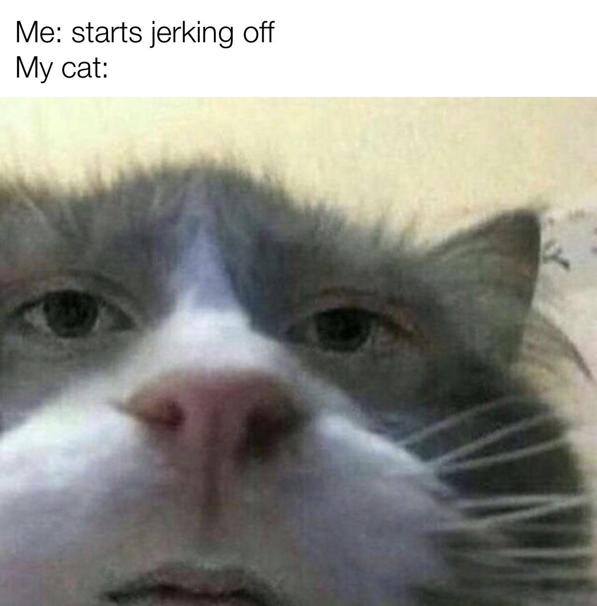 You’ve been caught r/dankmemes