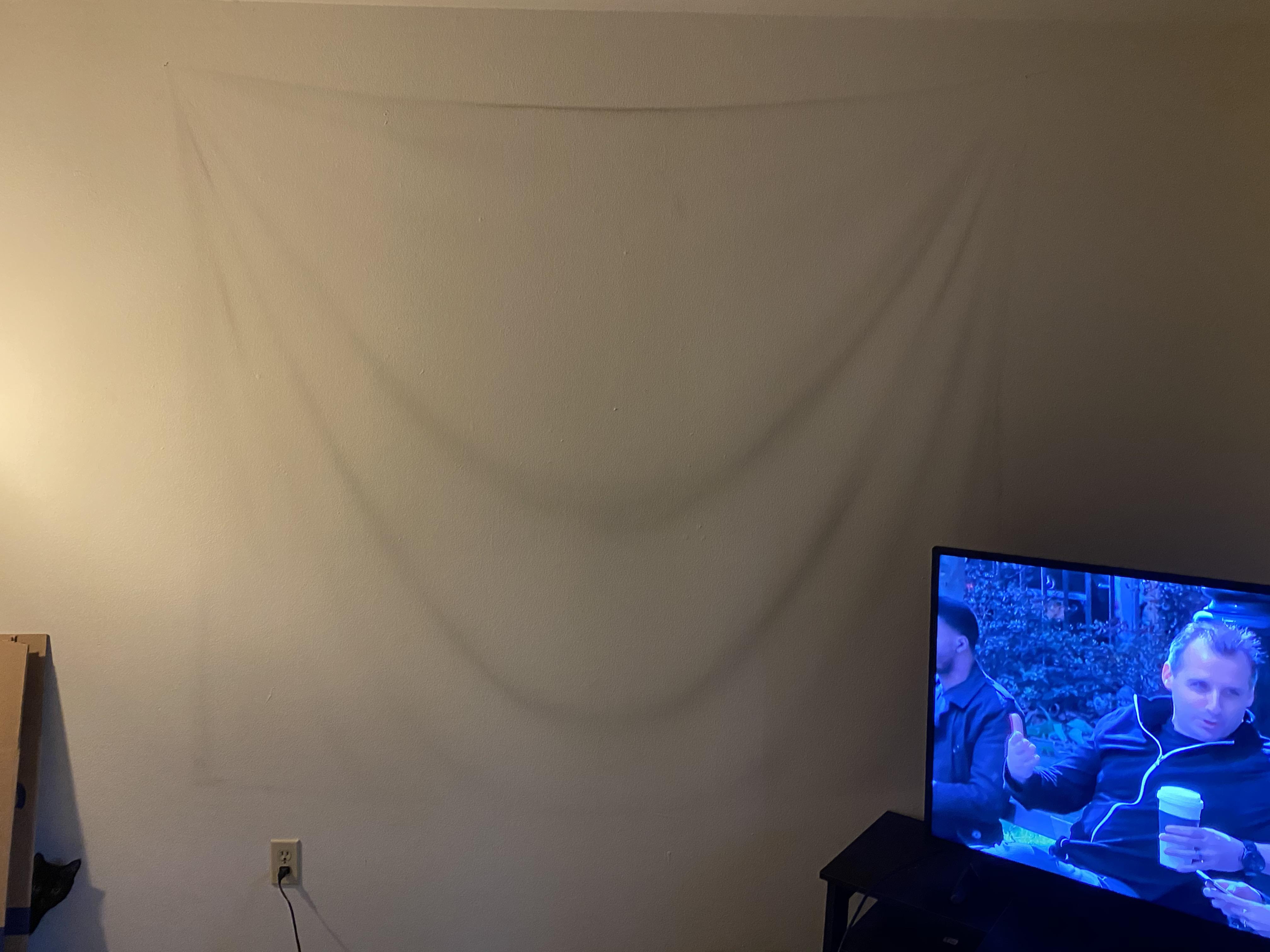 This dust wall canvas r/mildlyinteresting