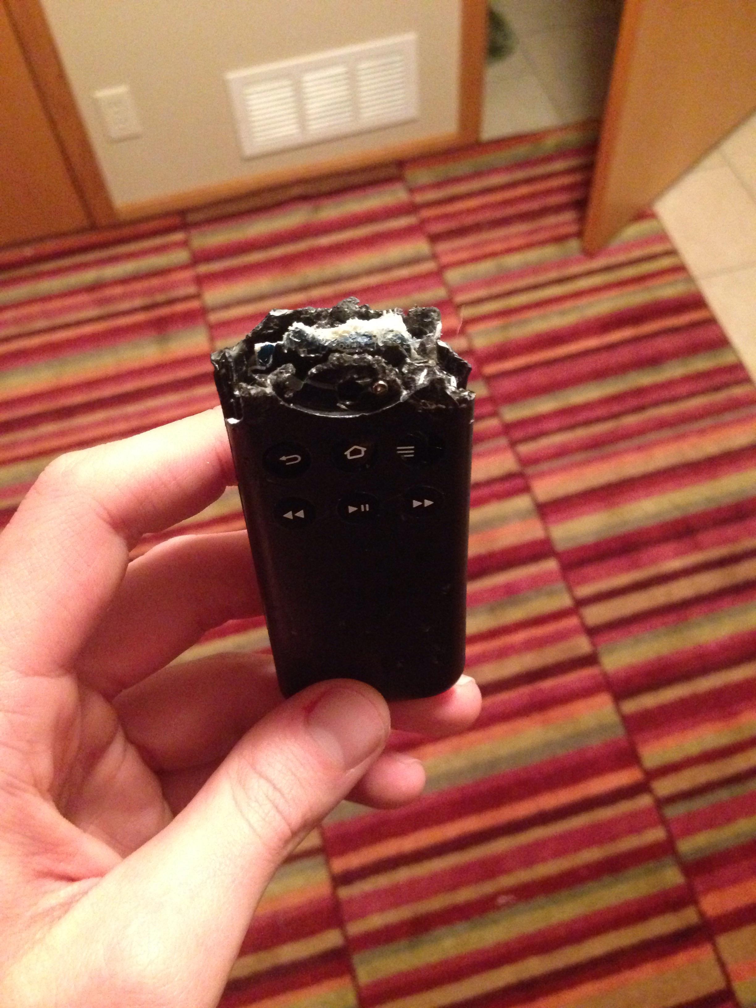 The way my dog ate this remote made it look like a candy bar r