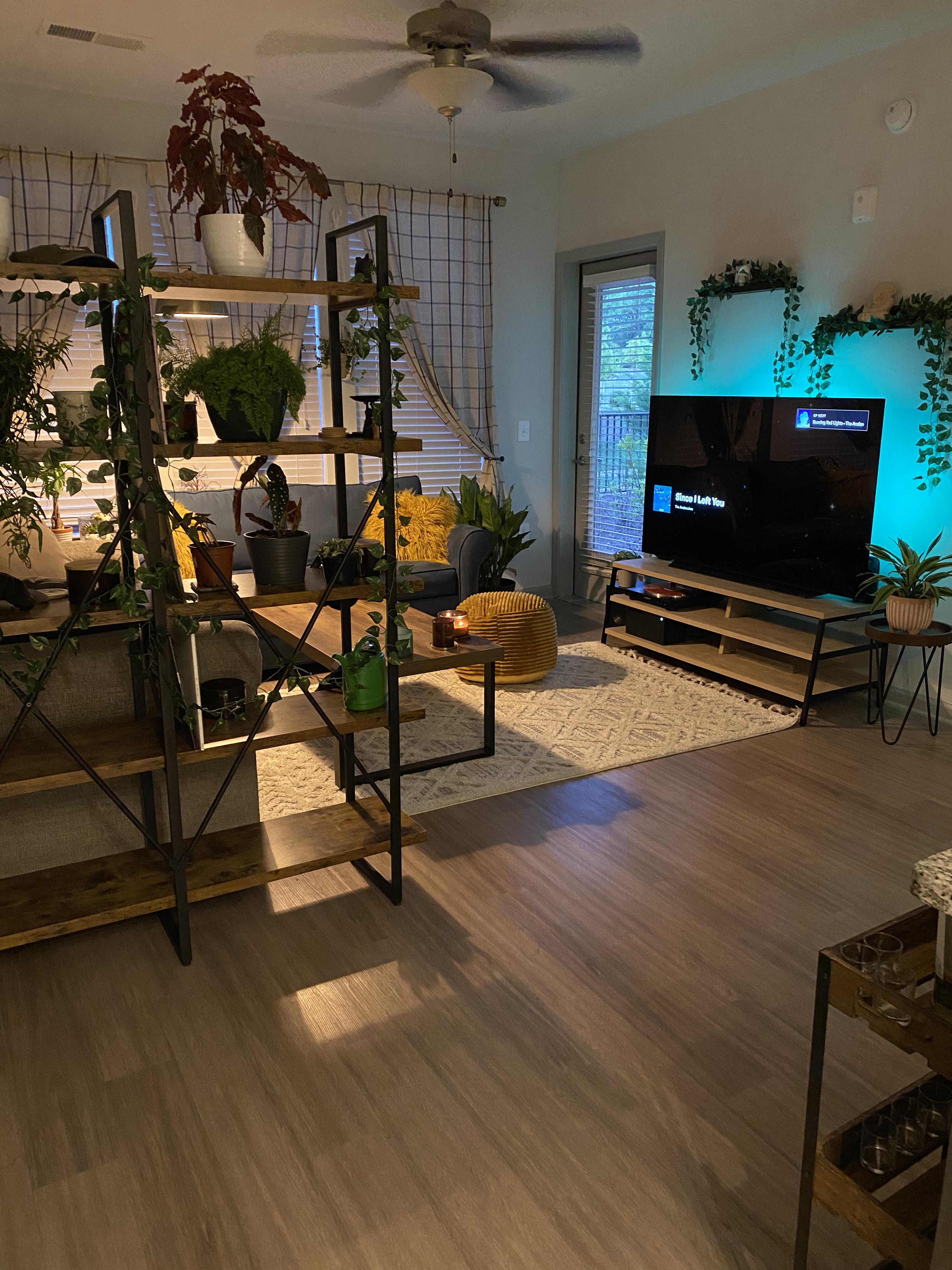 My living room in Chicago AmateurRoomPorn