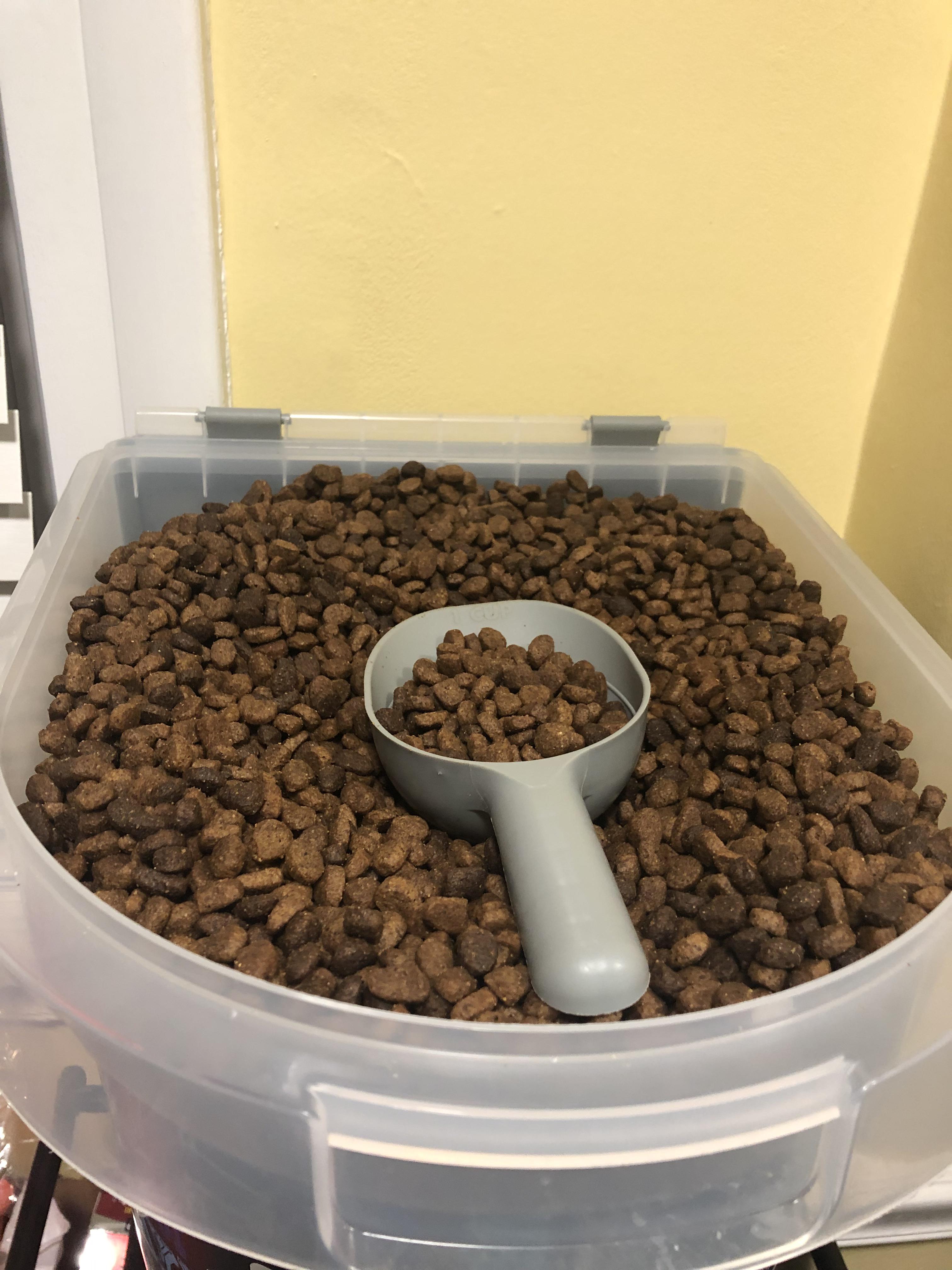 The way this 30 lb bag of dog food fills my container. r/oddlysatisfying