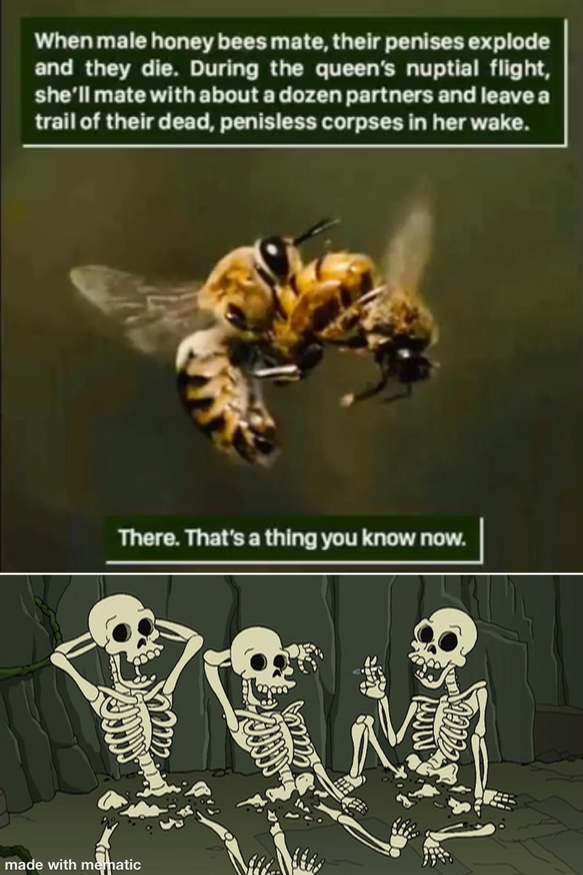 Death by snu snu memes
