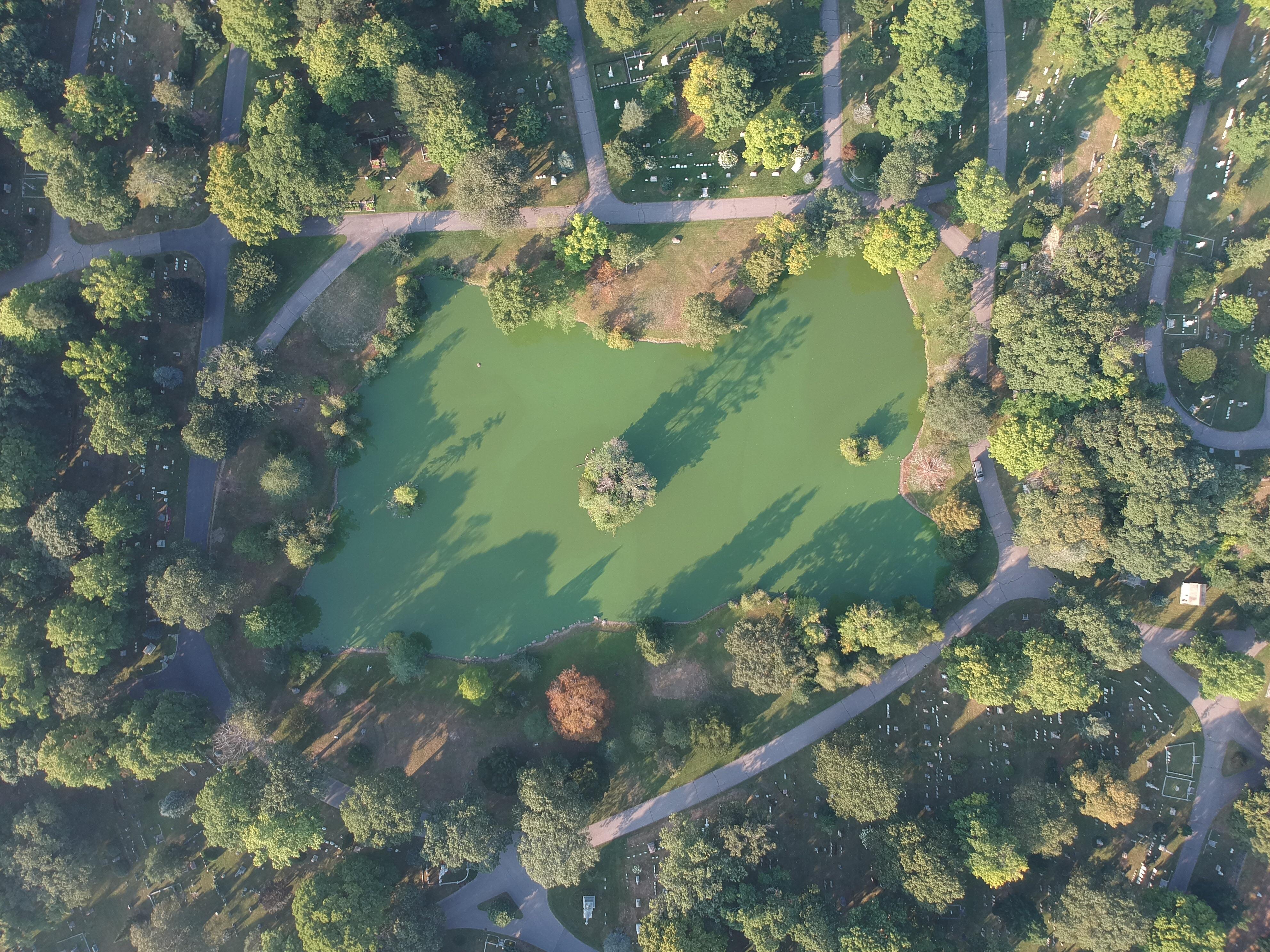 Pond Forest Hills Cemetery in Boston r/DJISpark
