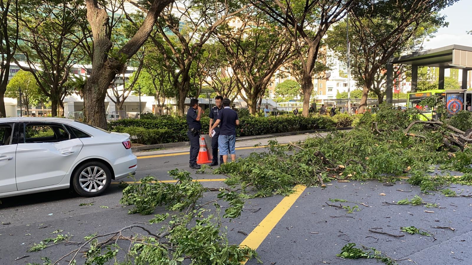 Reddit Dive into anything