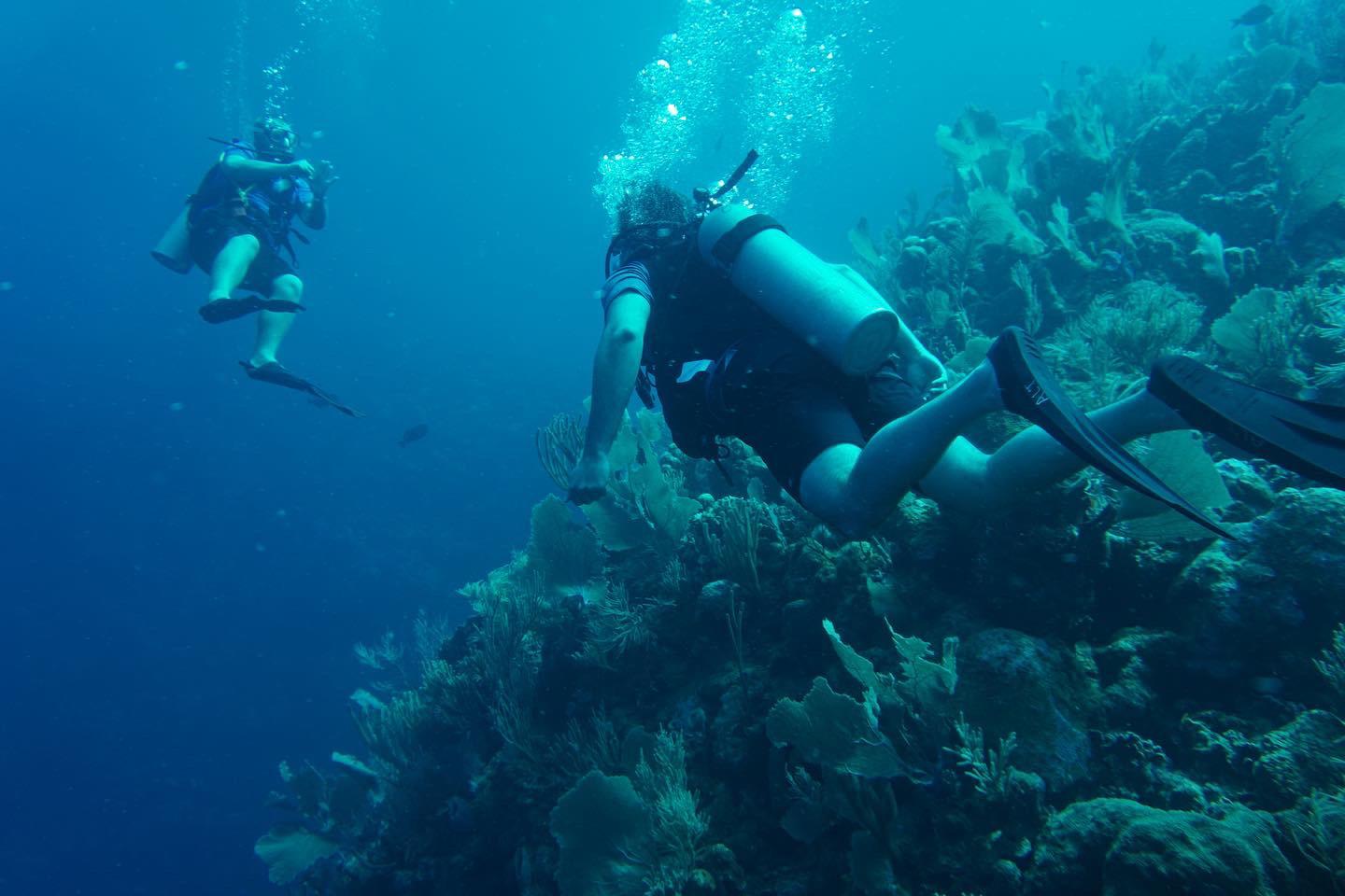 Just completed my OW, AOW, Rescue, and wreck spec during a three week