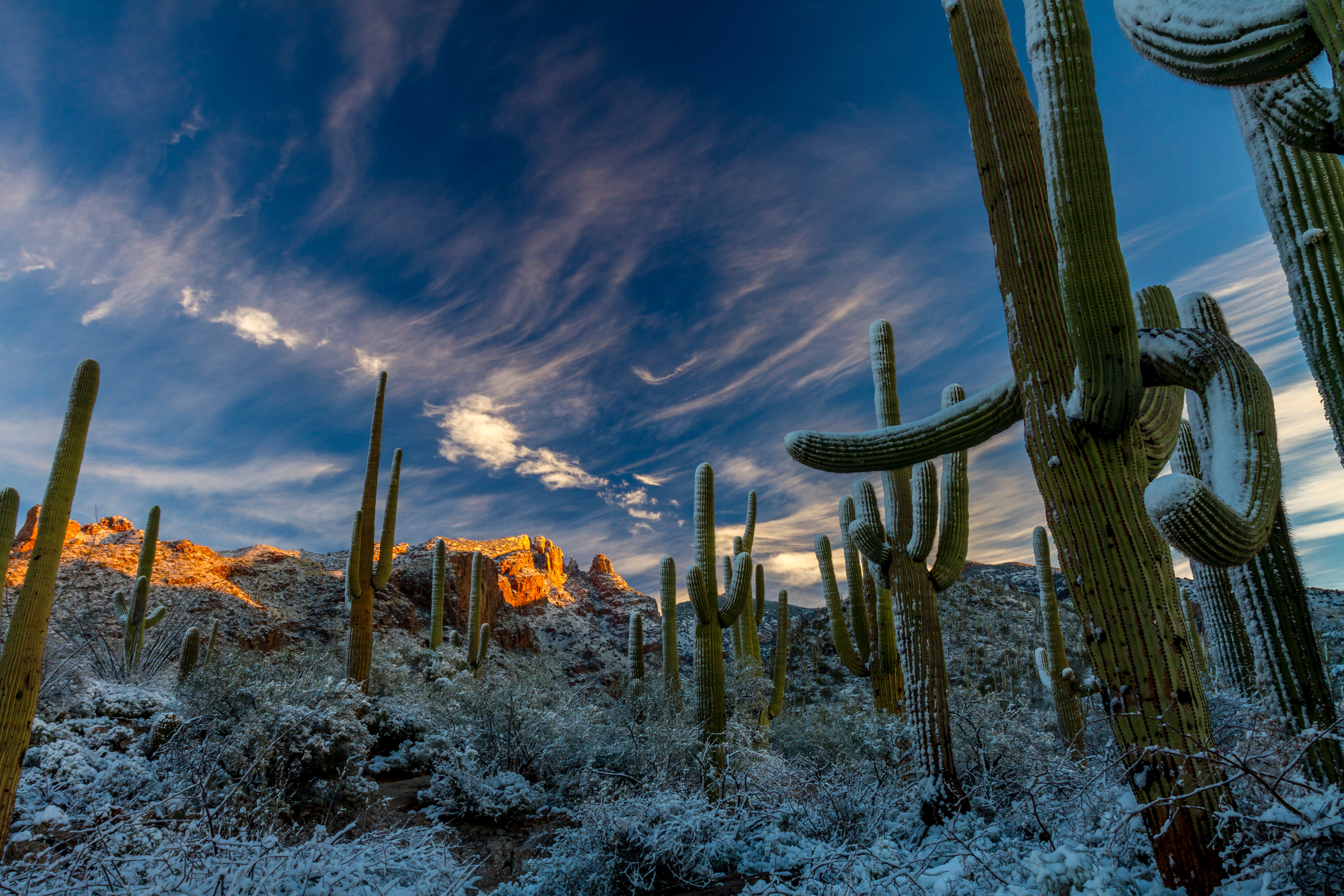 Sonoran Desert (Photo credit to NOAA) [5184 x 3456] r/wallpapers