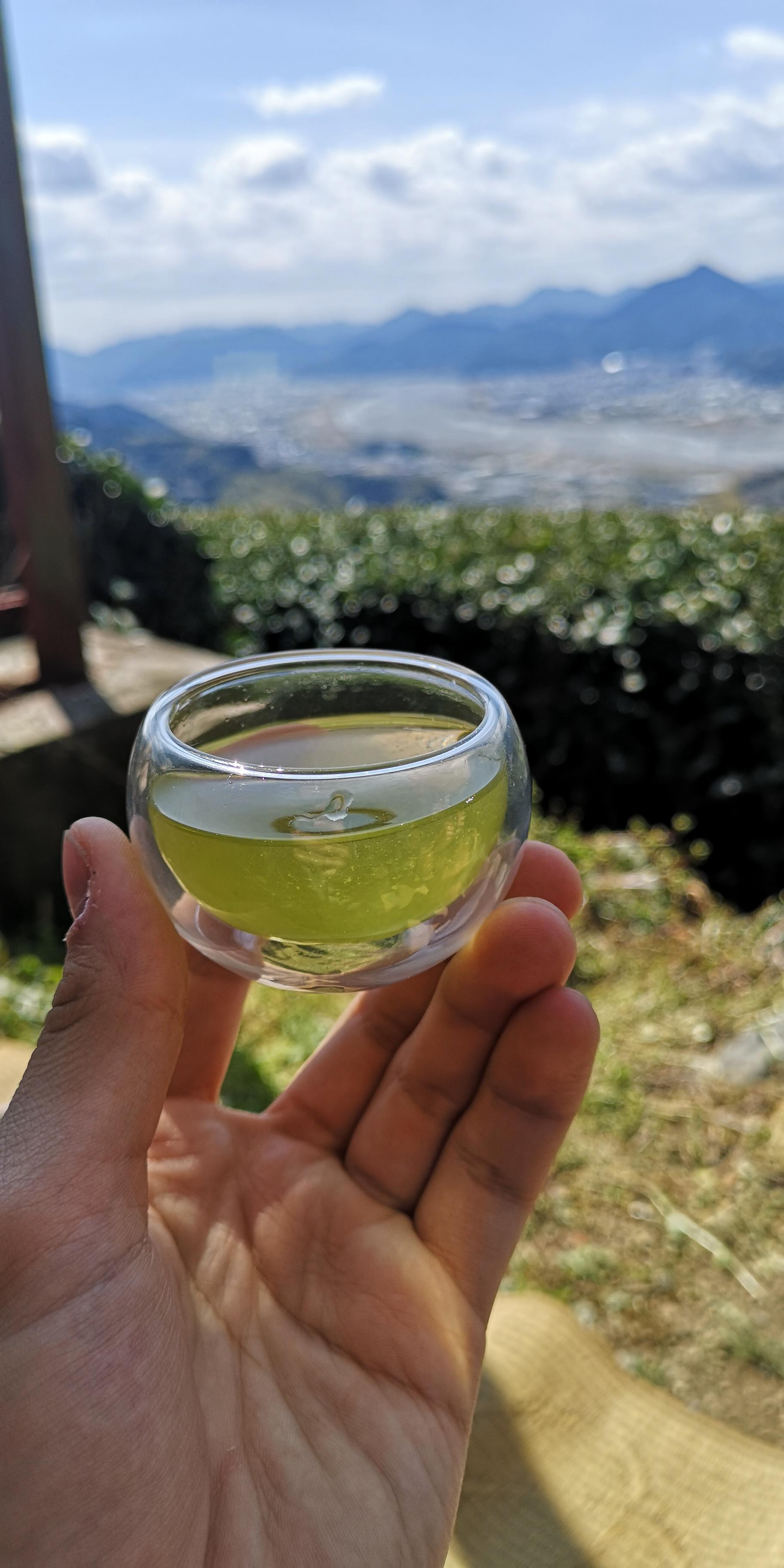 I had green tea at a japanese tea farm r/tea