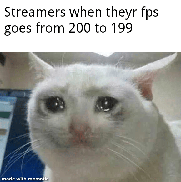 MY FPS IS TOO LOW memes
