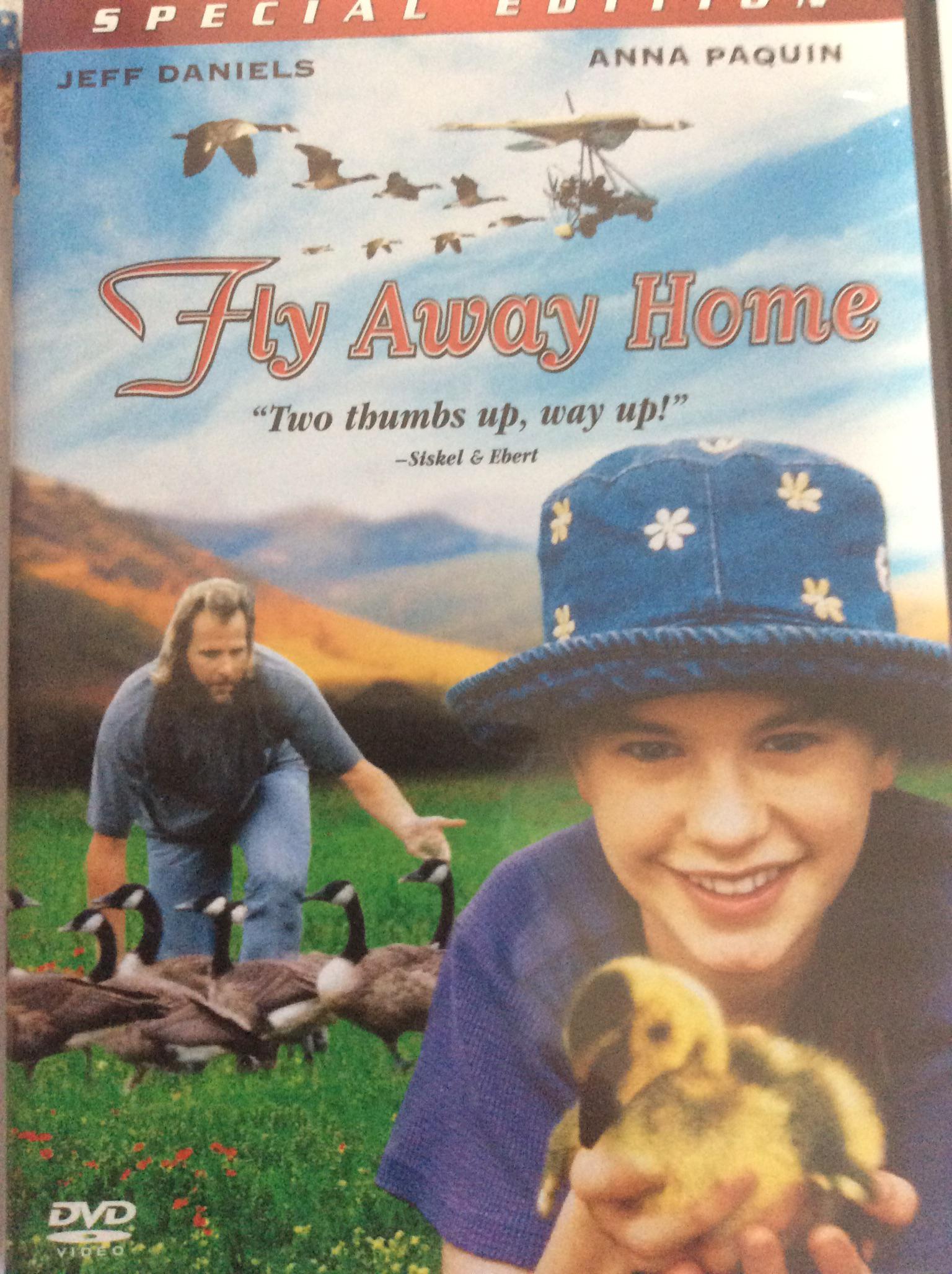 Found this gem in the bargain bin at a thrift store awhile back r/geese