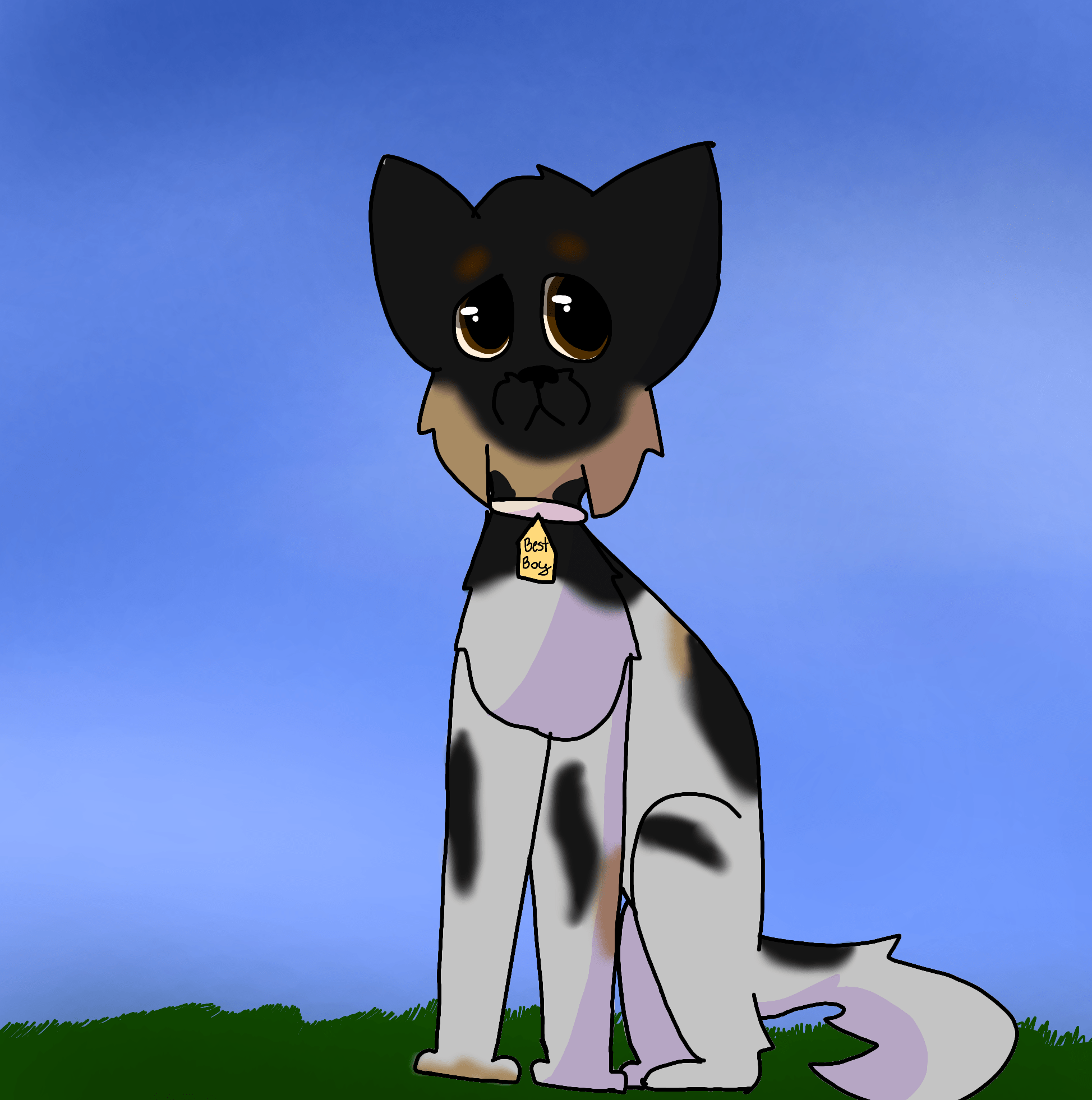 I decided to draw Spencer because I cannot draw humans. I do not