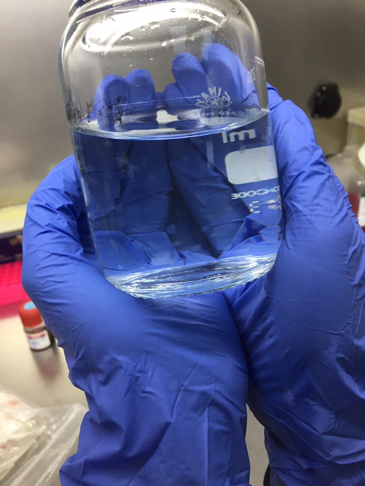 Do you have any ideas what these are? There are small cotton like