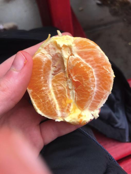 I found an orange inside an orange today r/mildlyinteresting