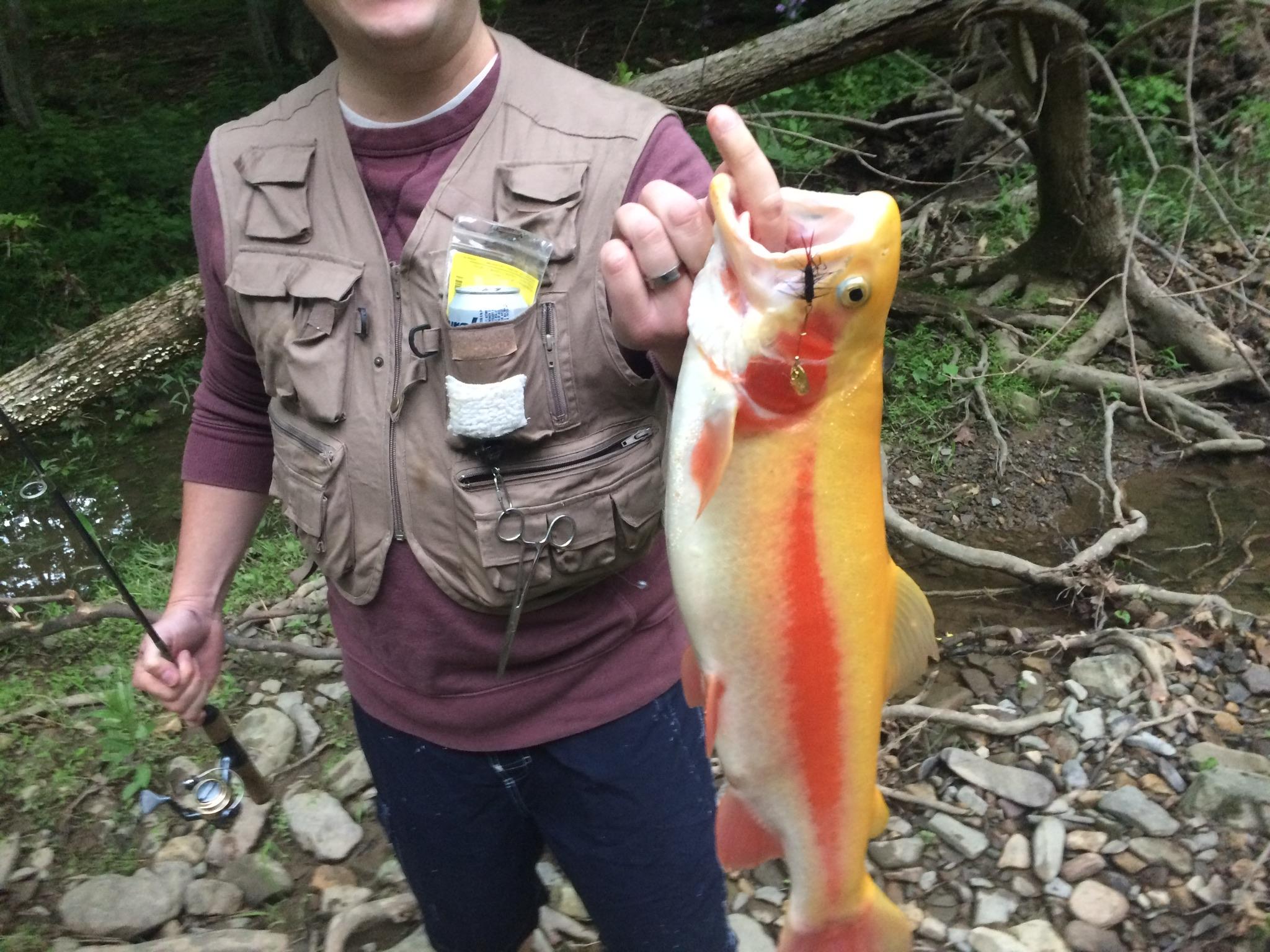 Palomino Trout in Pennsylvania r/troutfishing