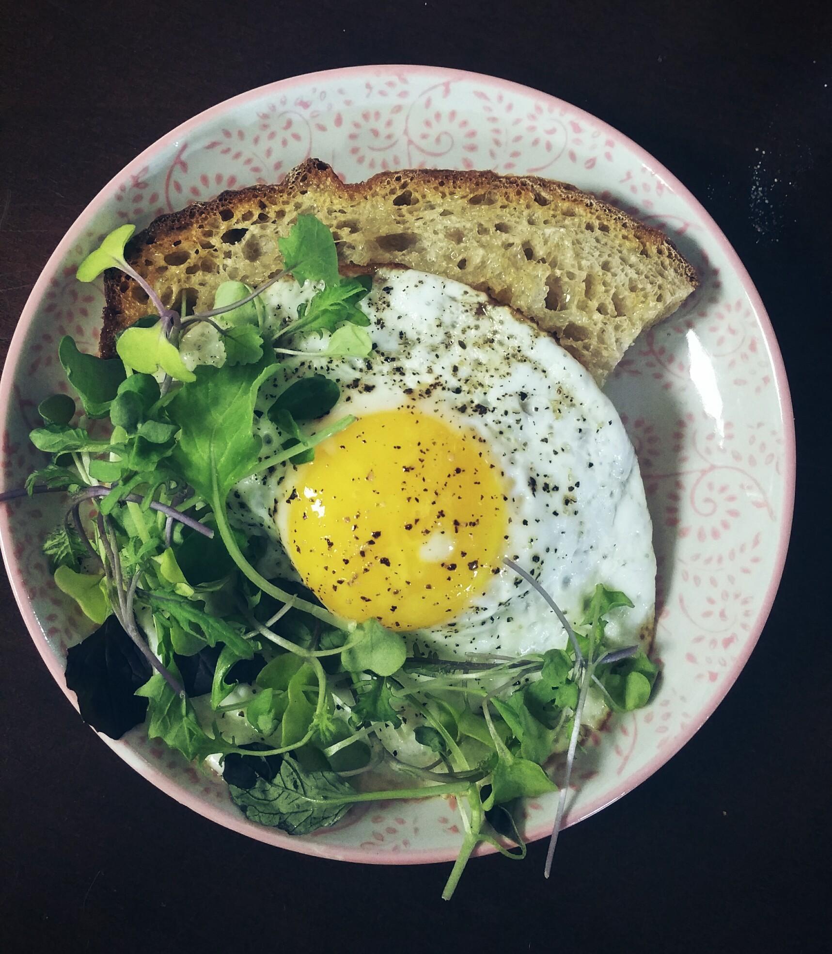 [Homemade] Egg, Sourdough Toast, & Microgreens food