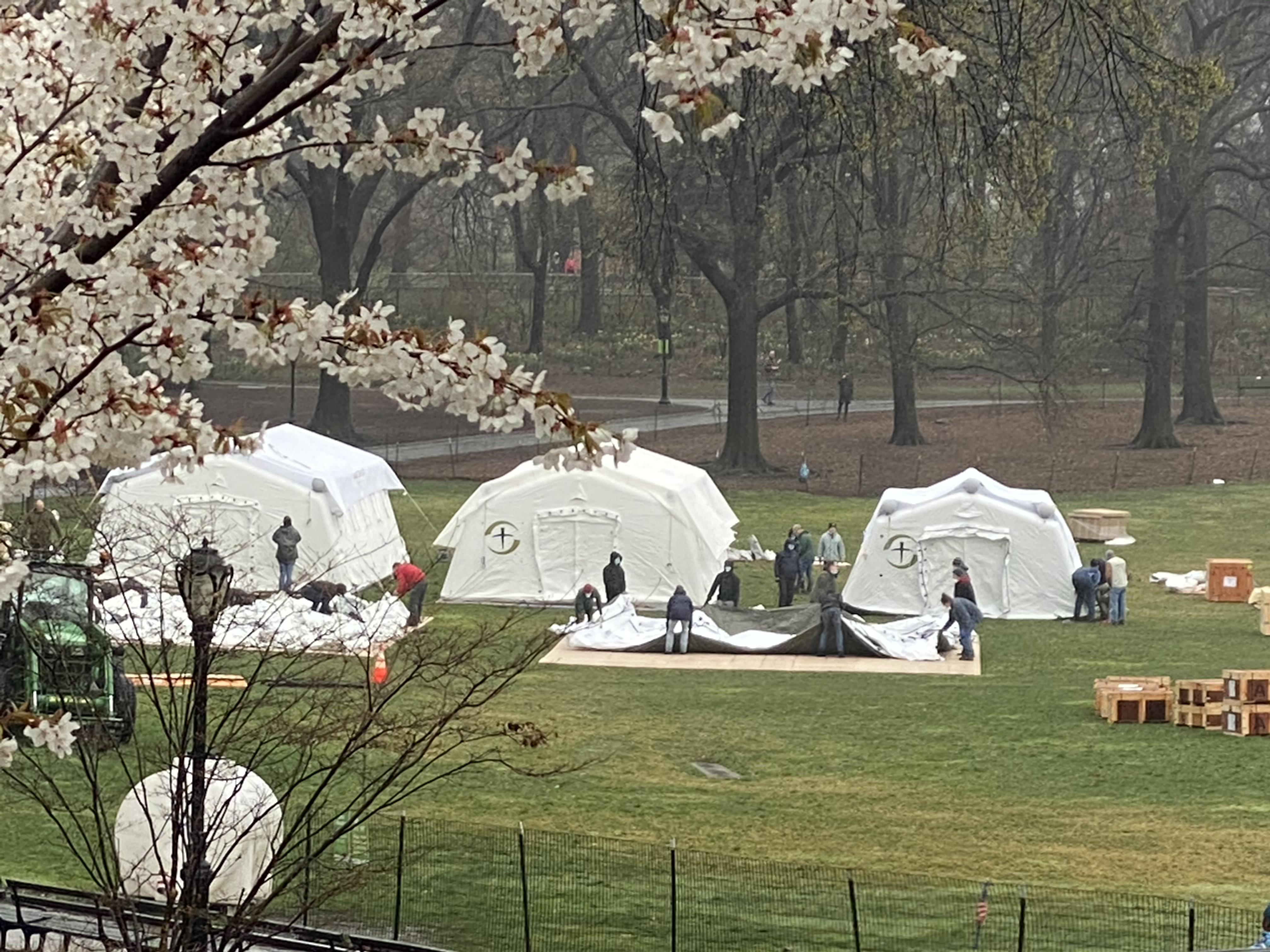 Medical tents being set up in Central Park (near 101 st and 5th Ave