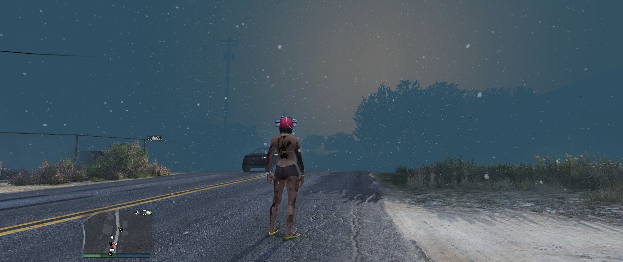 weird weather r/GrandTheftAutoV