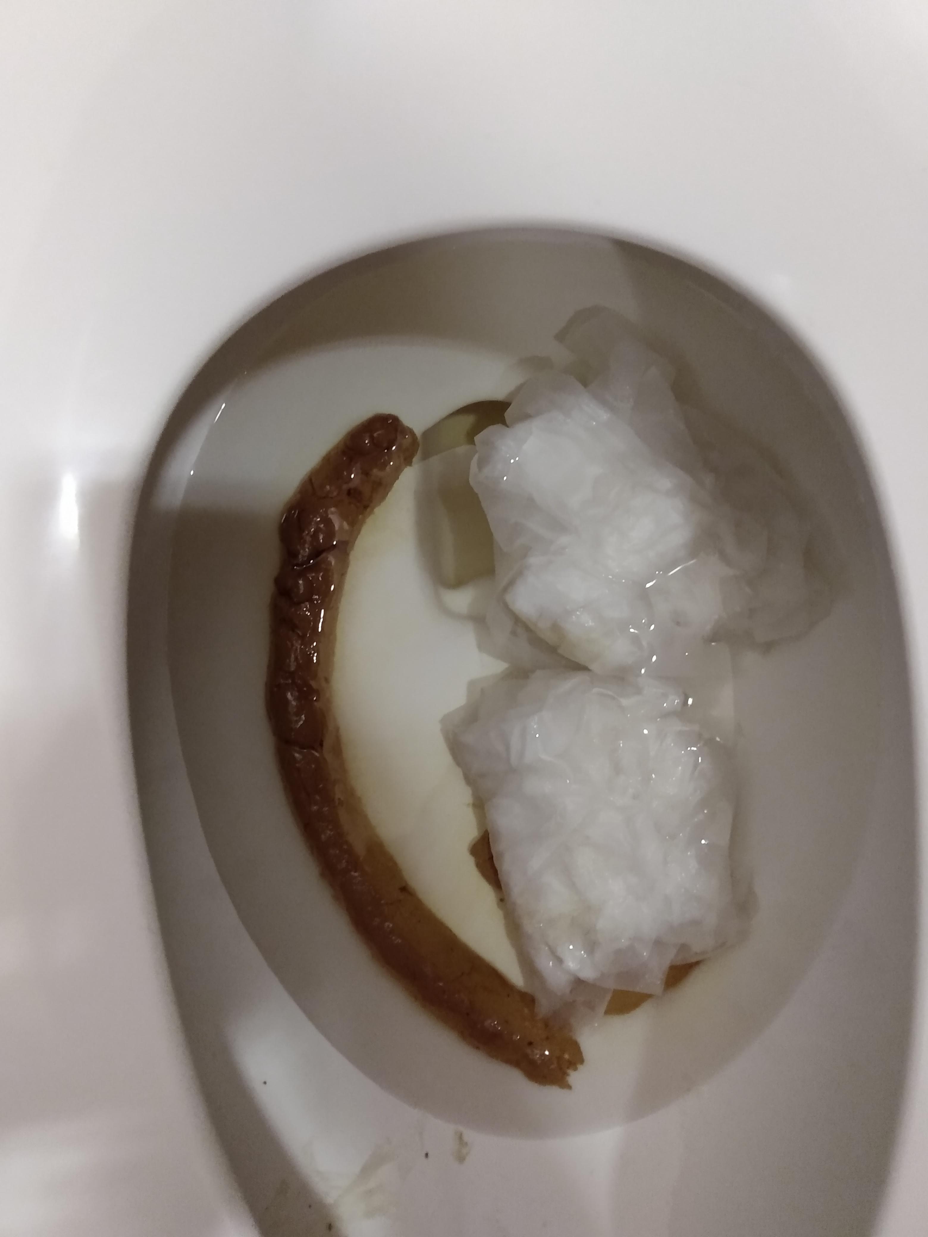 Biggest dump I've ever taken in my life r/poop
