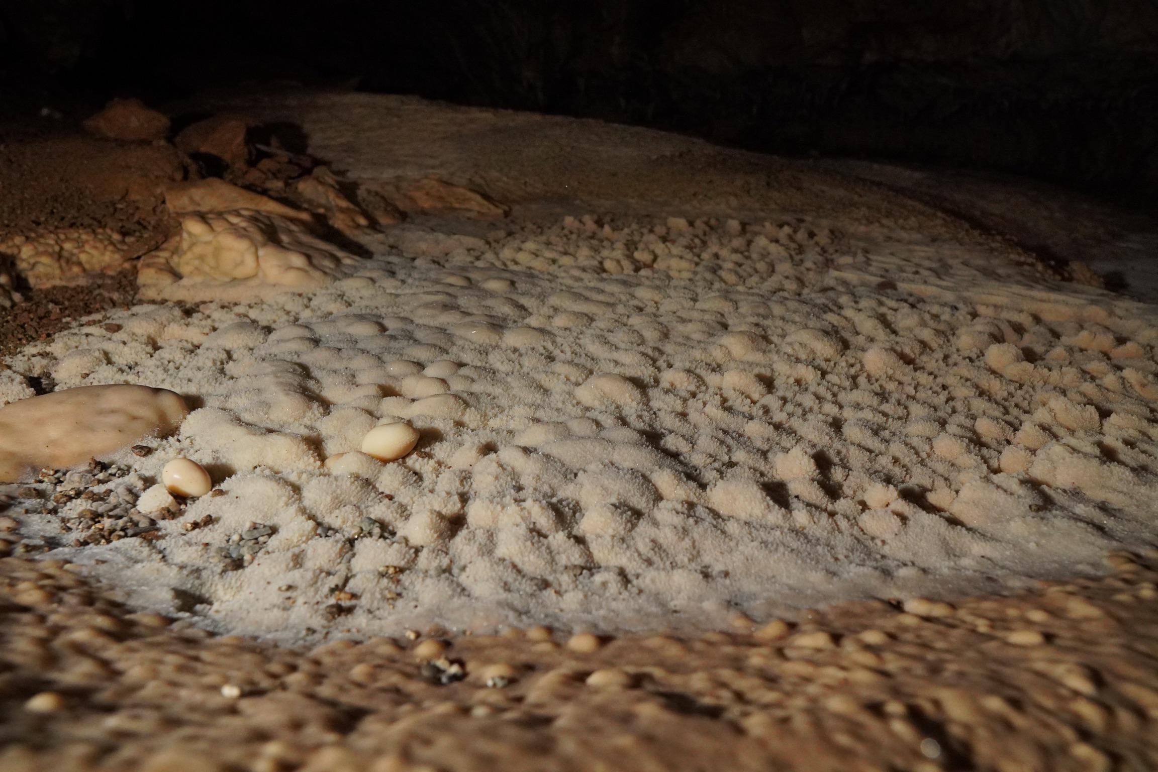 Pretty floor in a remote Northern California cave r/caving