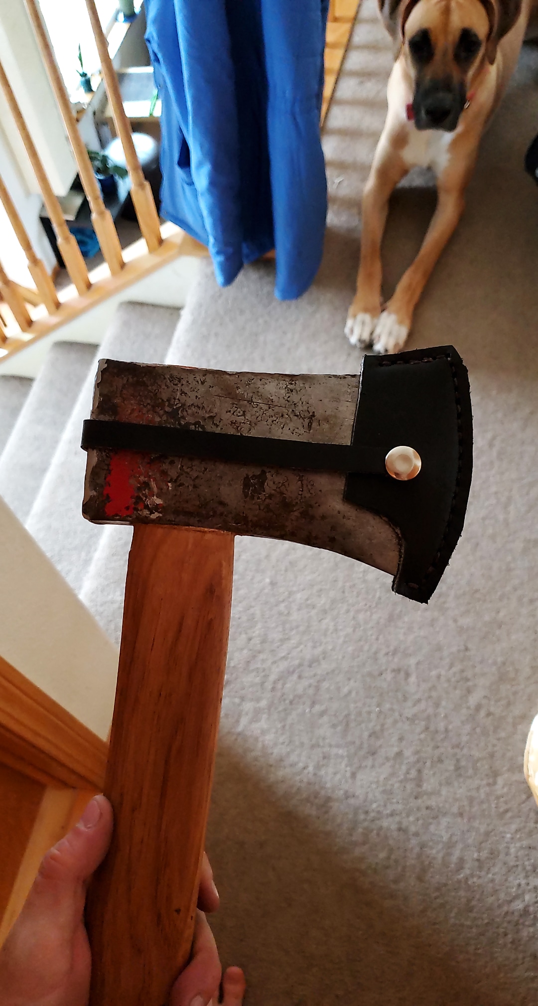 Made a new sheath for this recently rehandled axe (ft. my dog) r