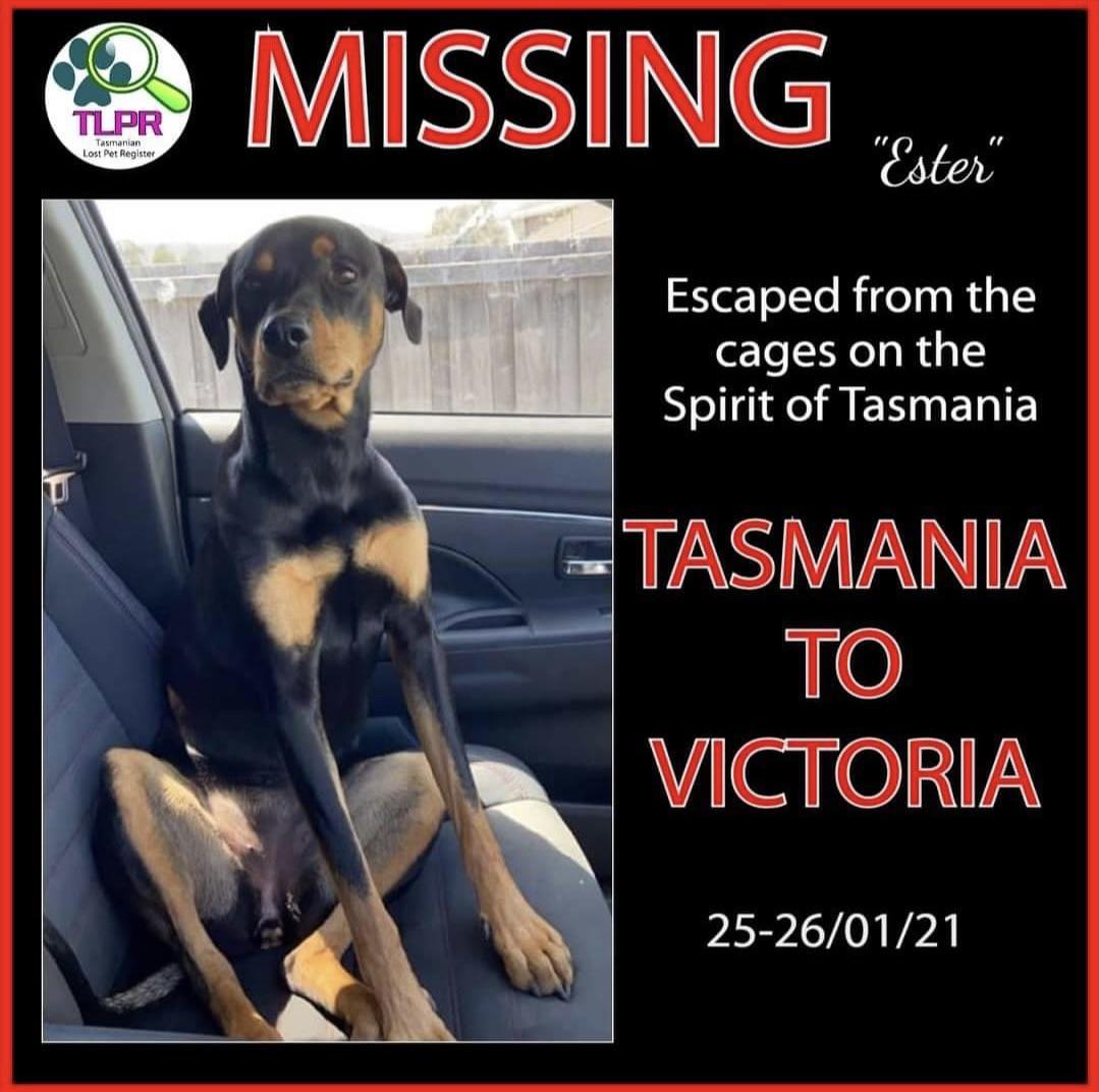 Where’s Ester Spirit of Tasmania ( r/australia