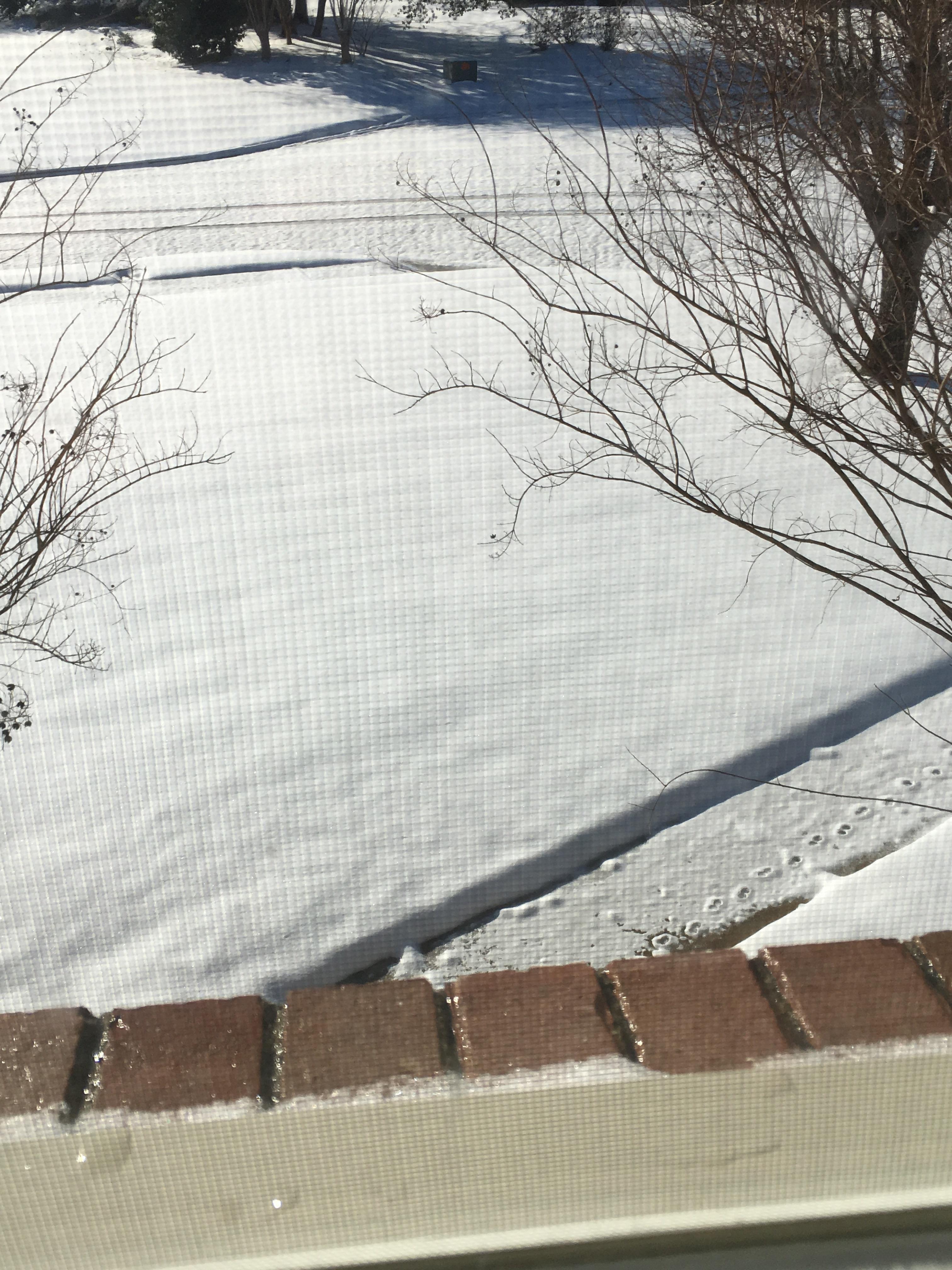 Alabama Snow Day r/pics