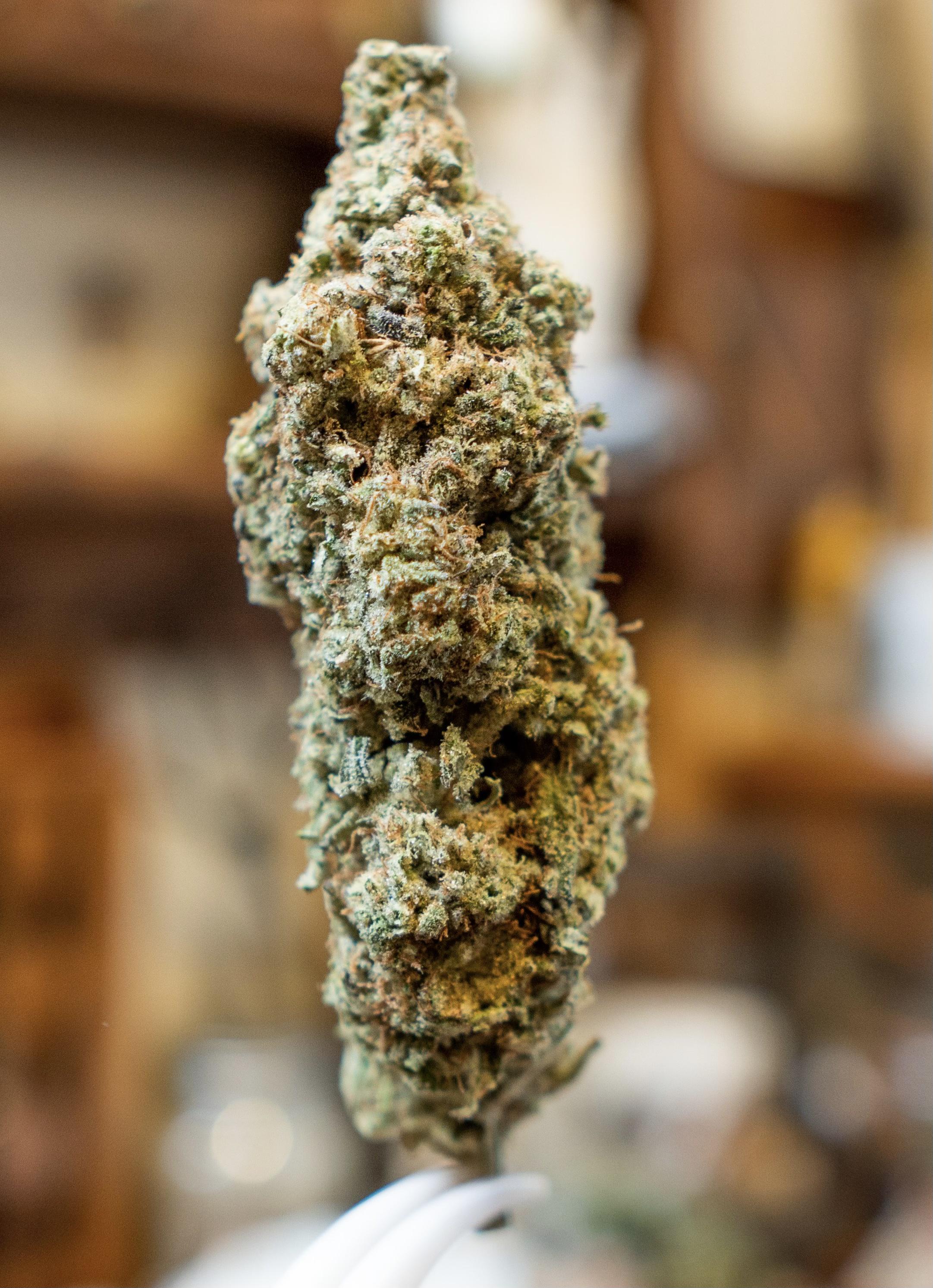 Caps Frozen Lemons from KrystaLeaves 🤤 r/COents