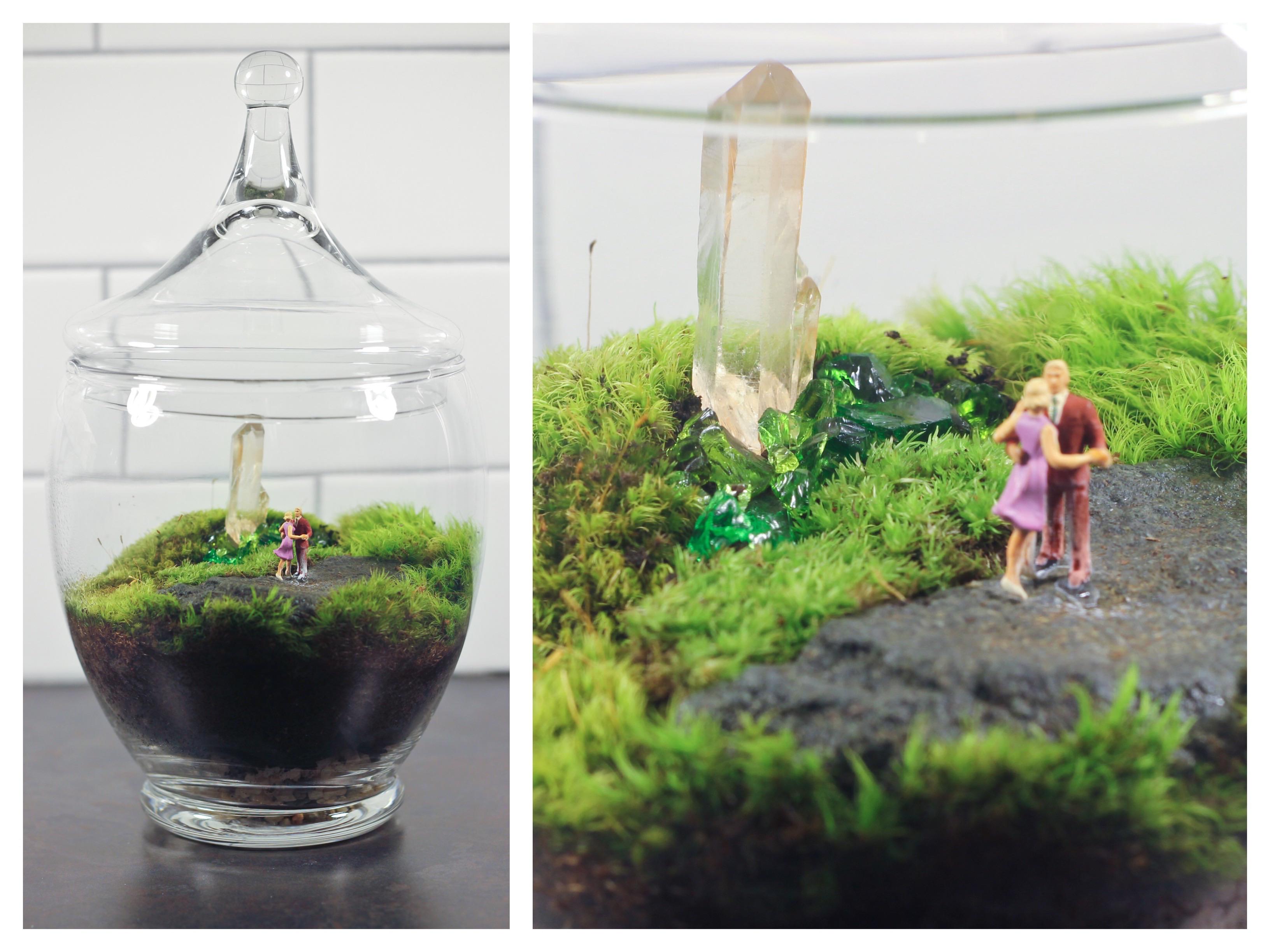 Dancing in the crystal garden my simple moss terrarium. r/terrariums