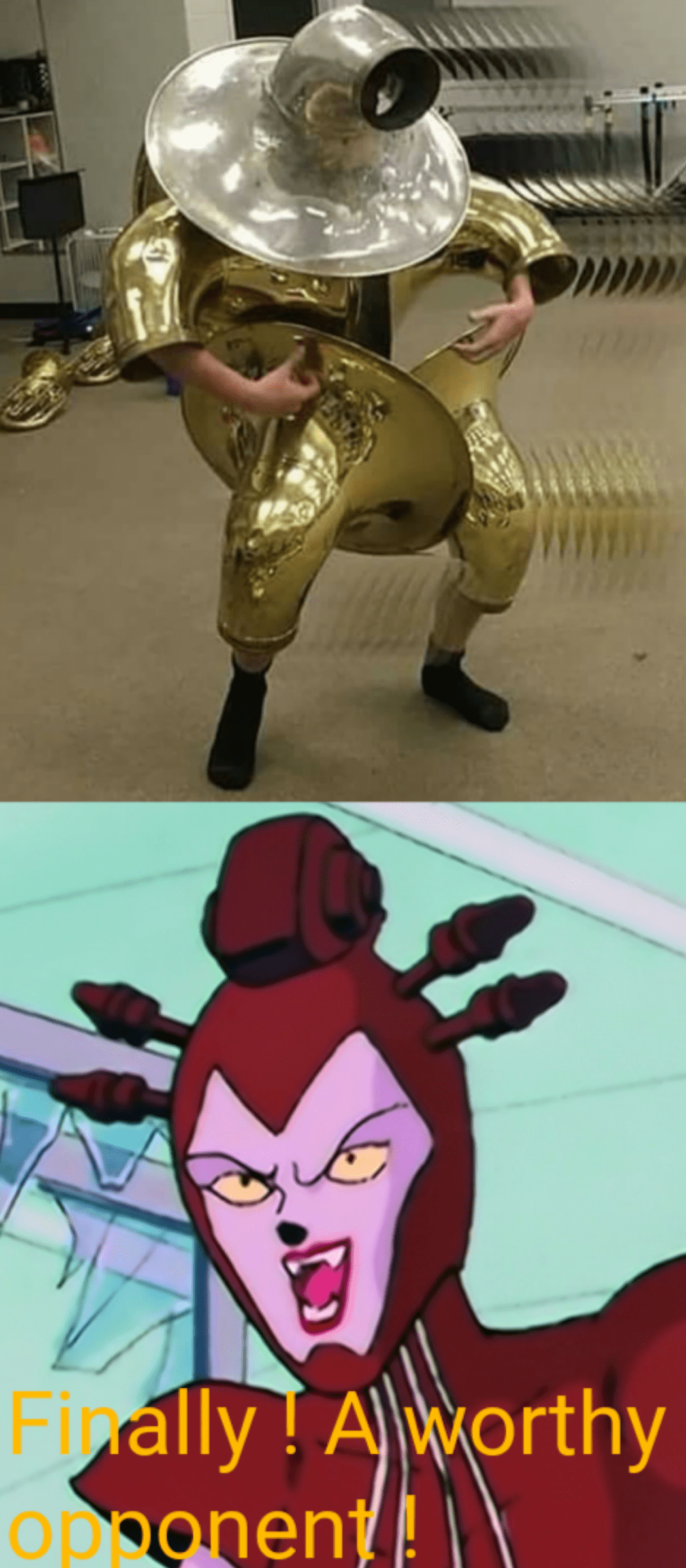 Octave Finally ! A worthy opponent ! (The last Meme) r/sailormoon