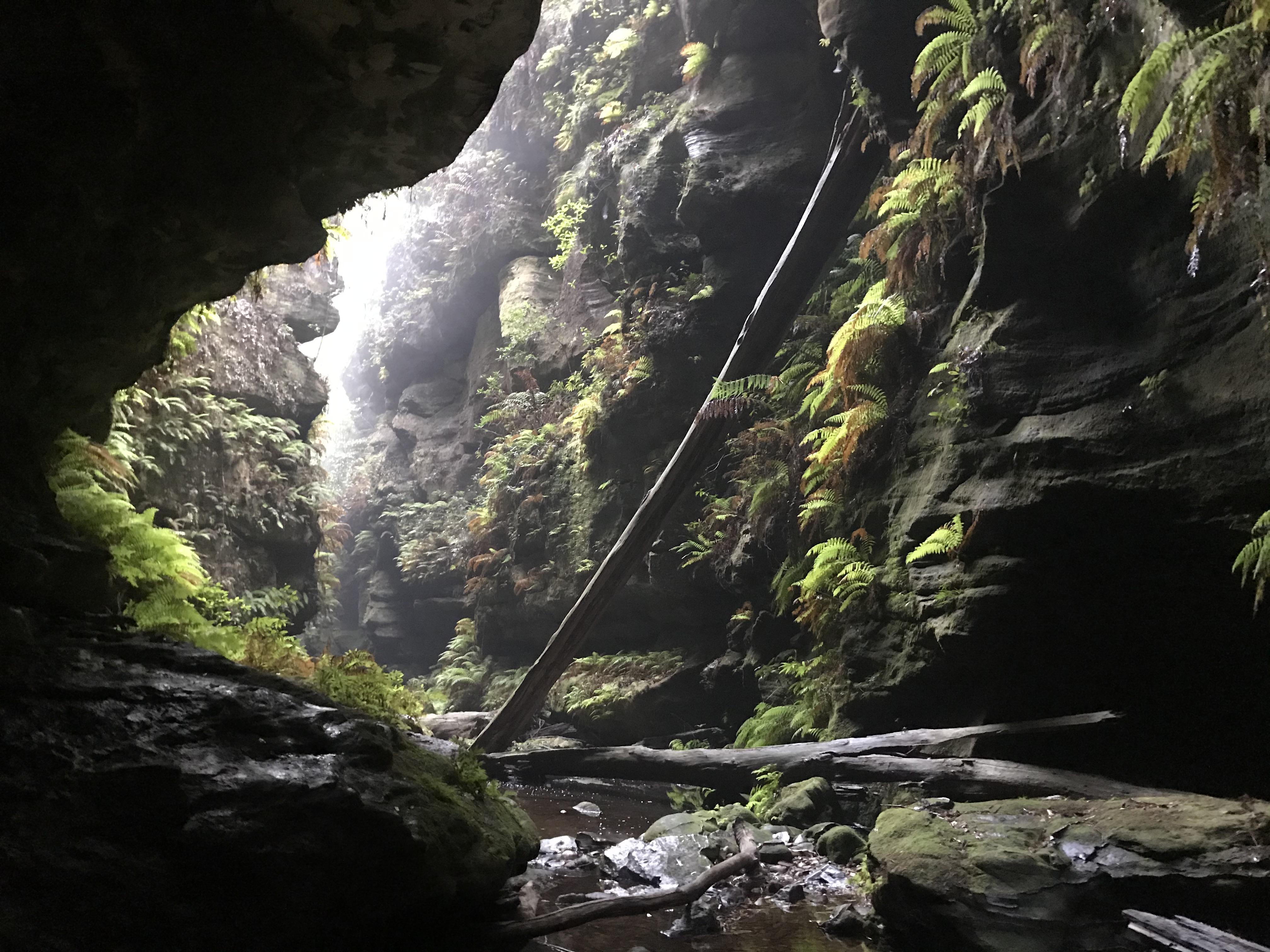 Grand Canyon, Blue Mountains, Australia. r/canyoneering