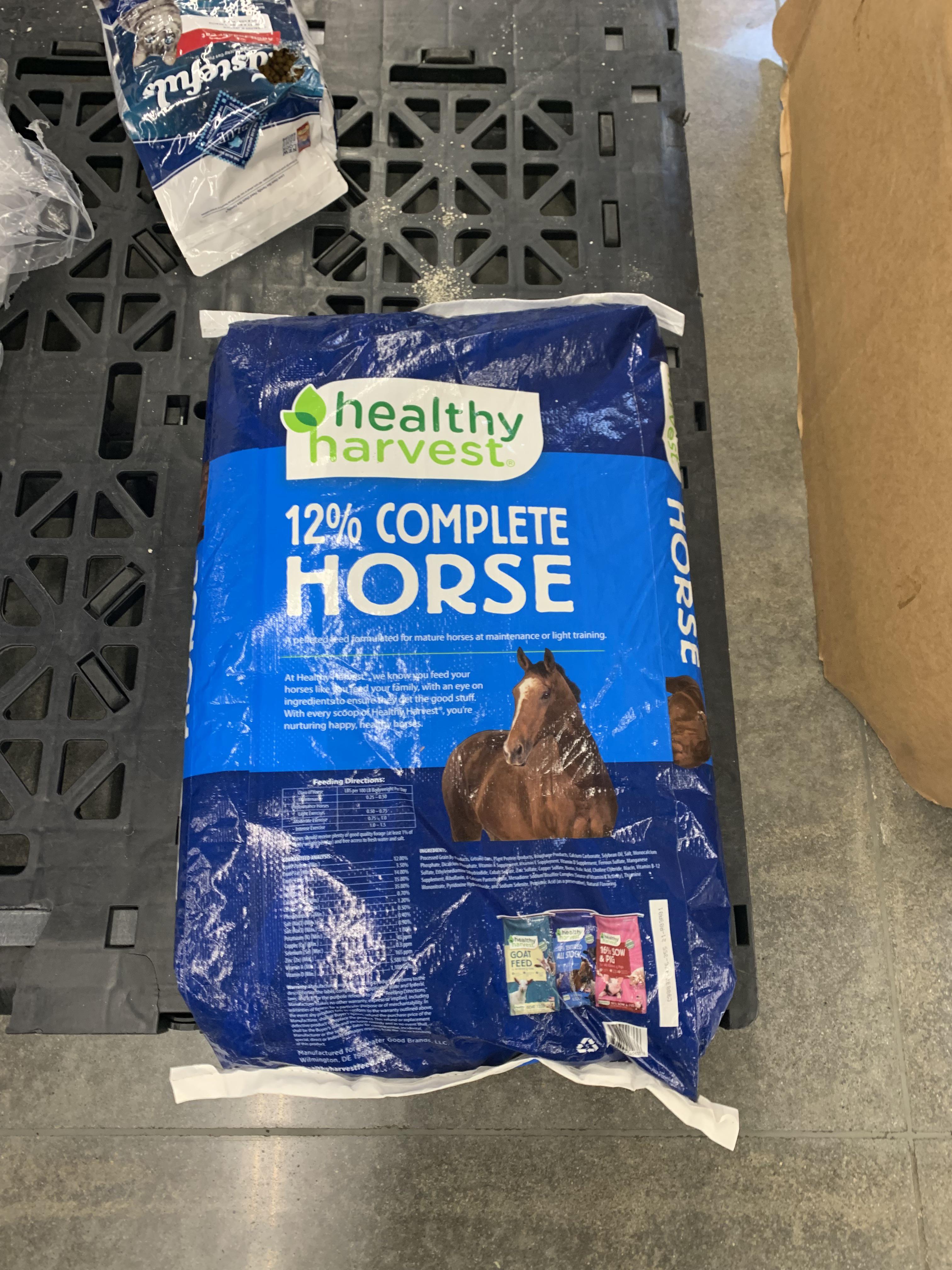 Not a full horse, but he’s trying his best r/OGPBackroom