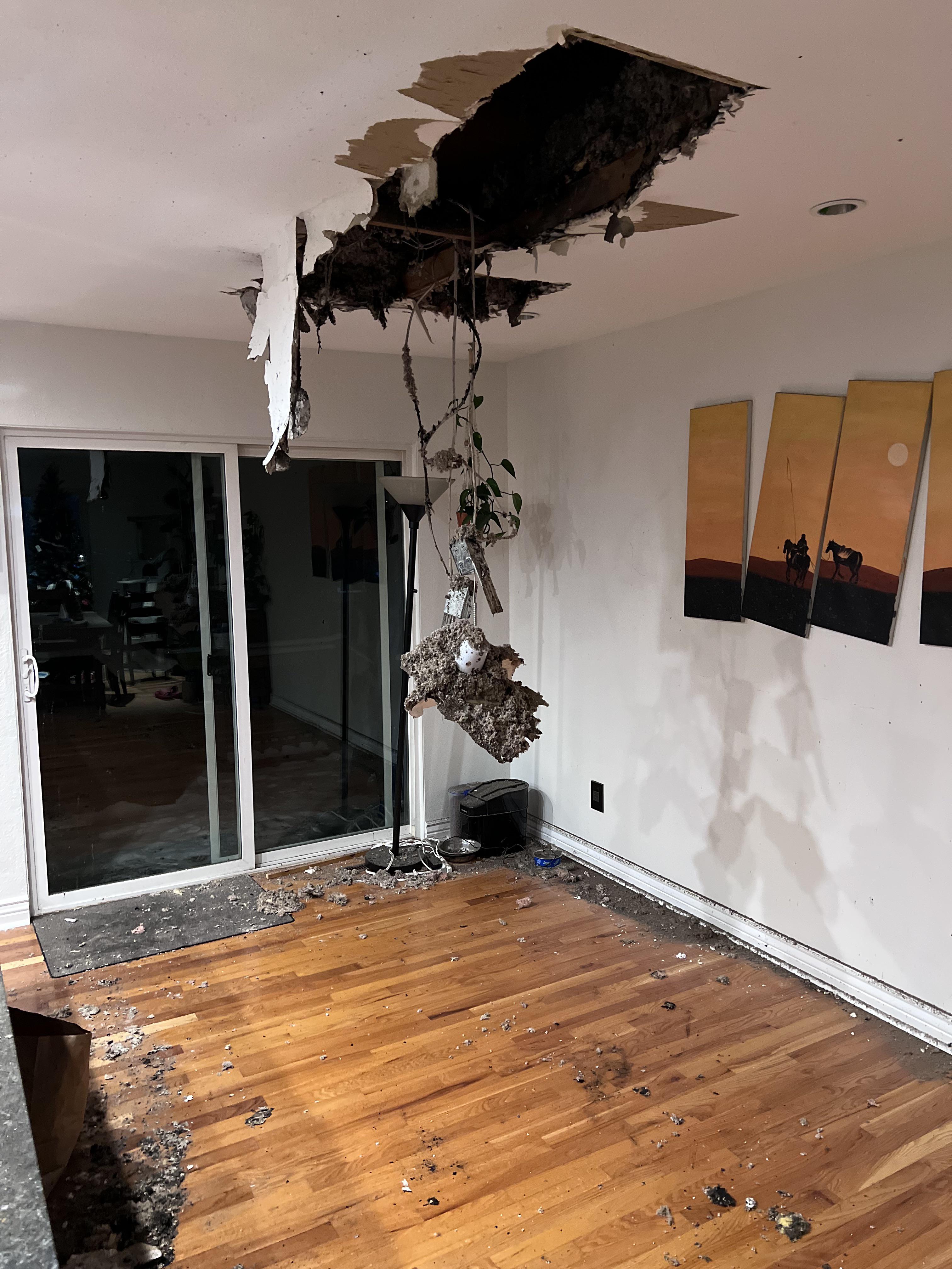 House caught on fire a little bit this morning. r/Wellthatsucks