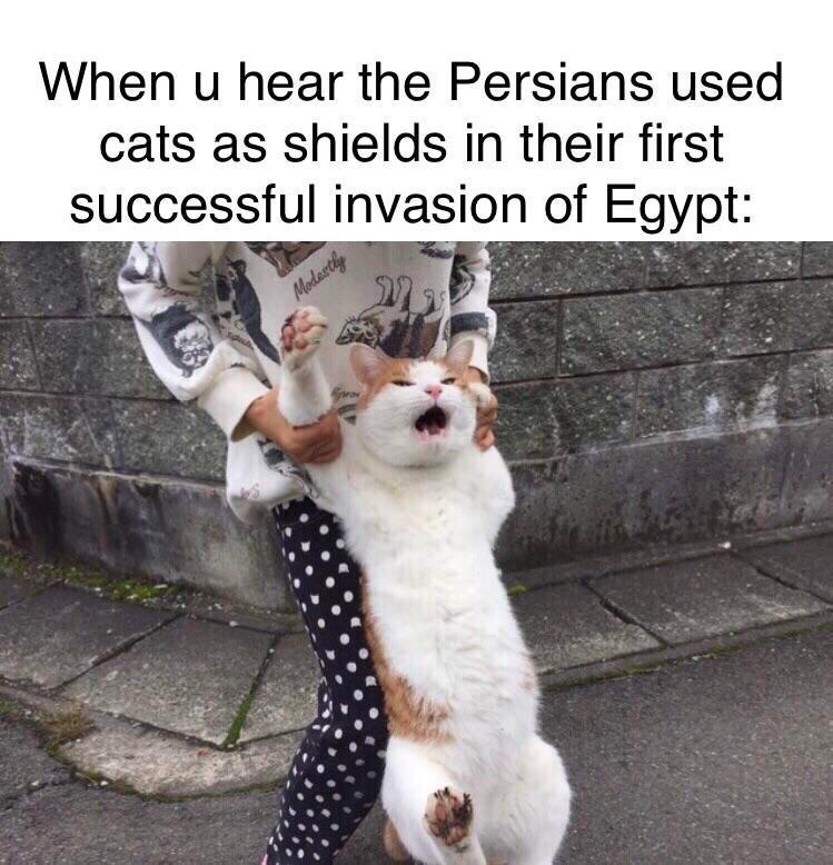 Who need shields when you have this r/HistoryMemes