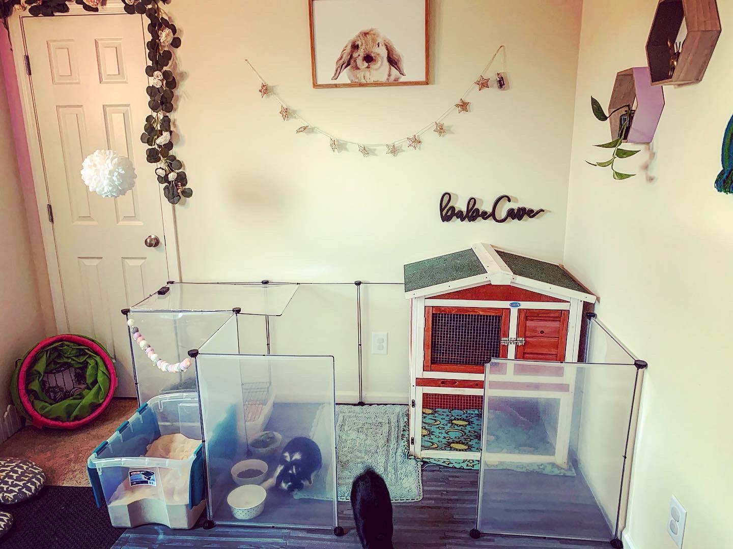 Just finished my girl’s bunny room 🥰 r/Rabbits